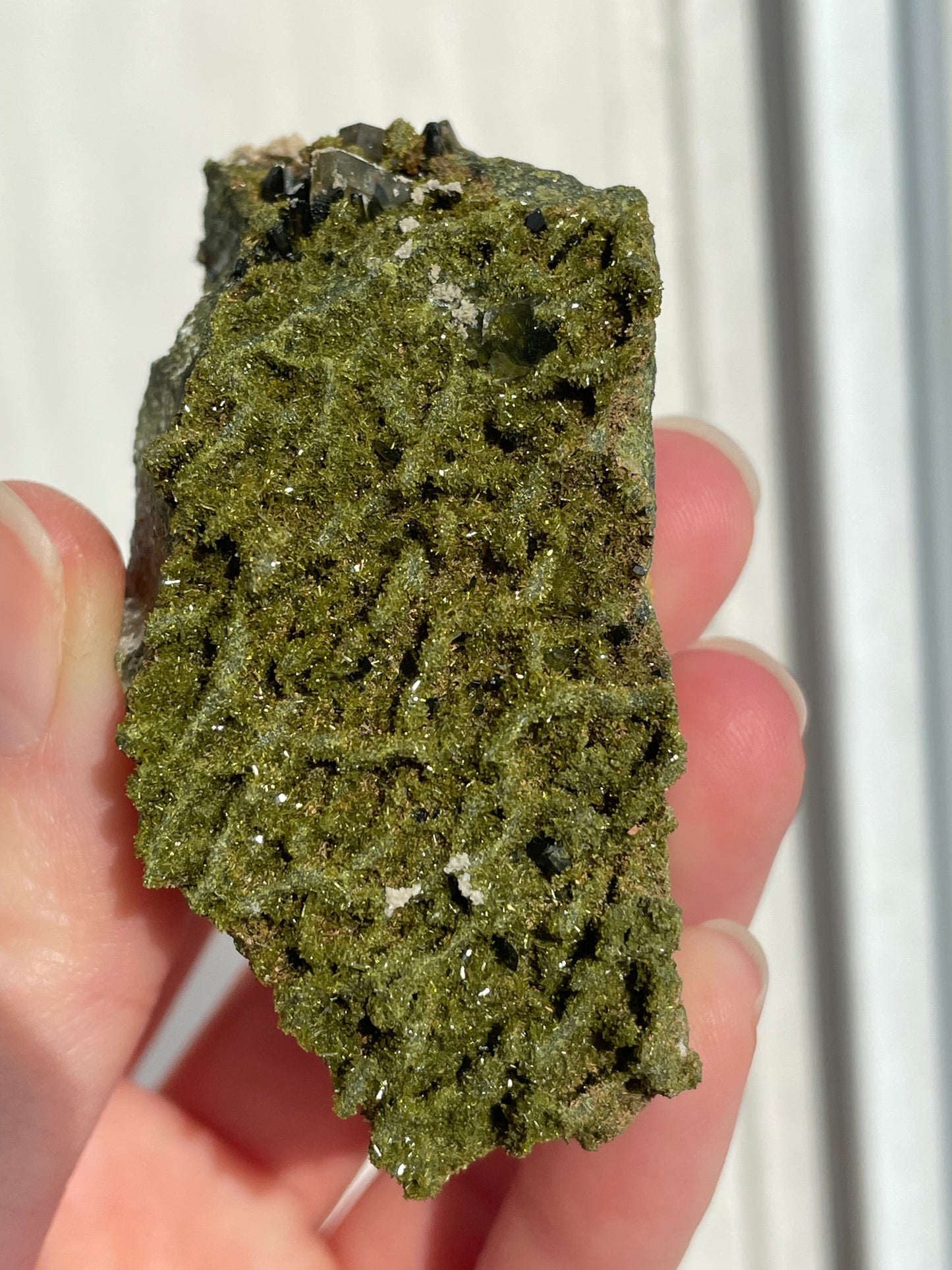 Green Forest Epidote Quartz