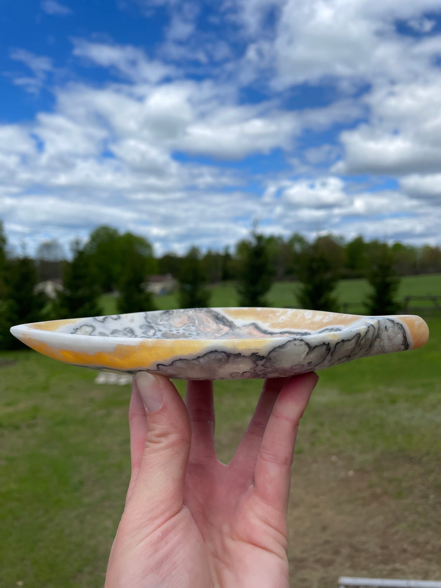 Mexican Onyx Leaf Plate