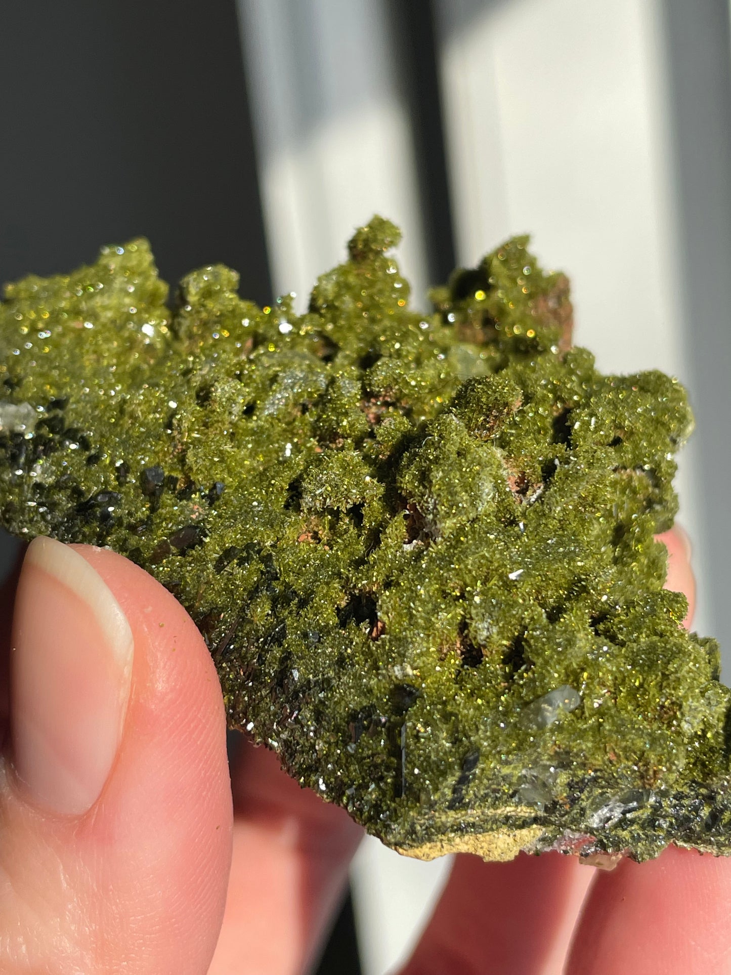 Green Forest Epidote Quartz