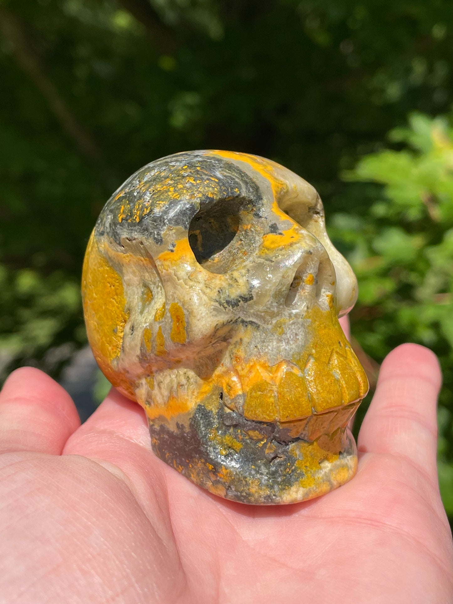 Bumblebee Jasper Skull