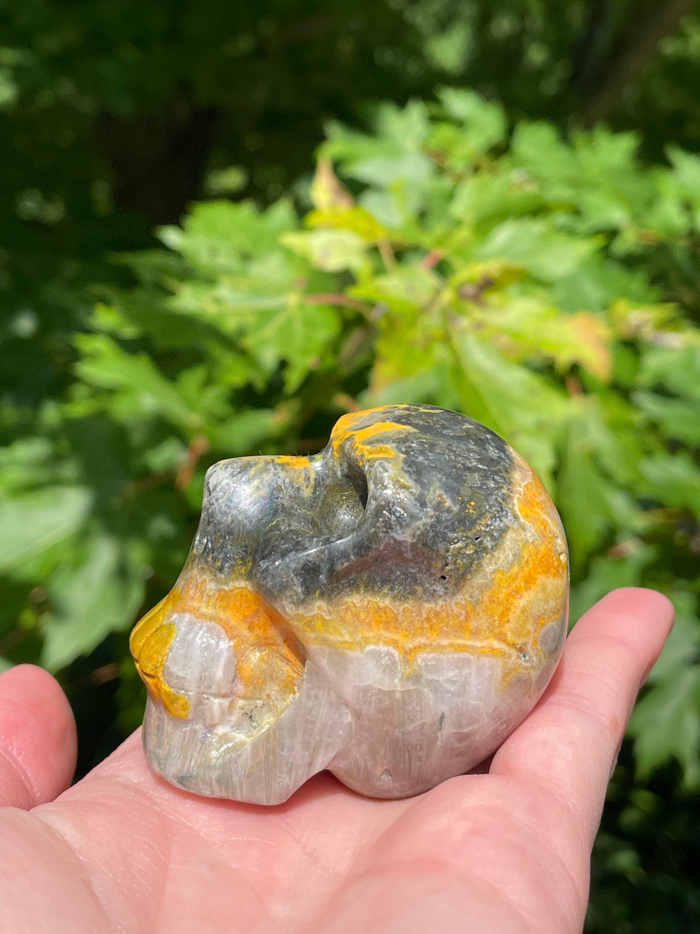 Bumblebee Jasper Skull