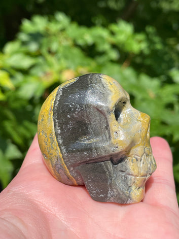 Bumblebee Jasper Skull
