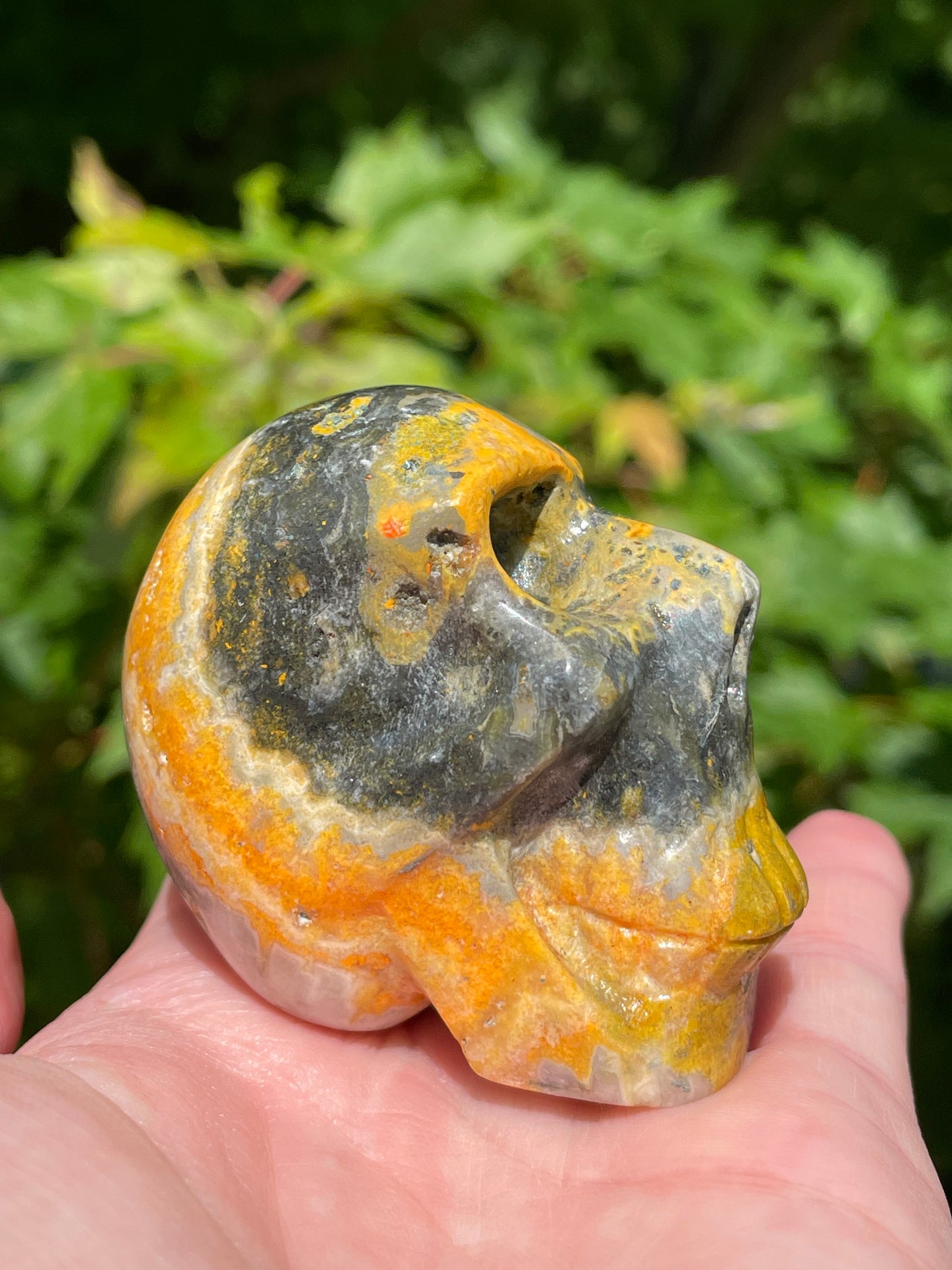 Bumblebee Jasper Skull