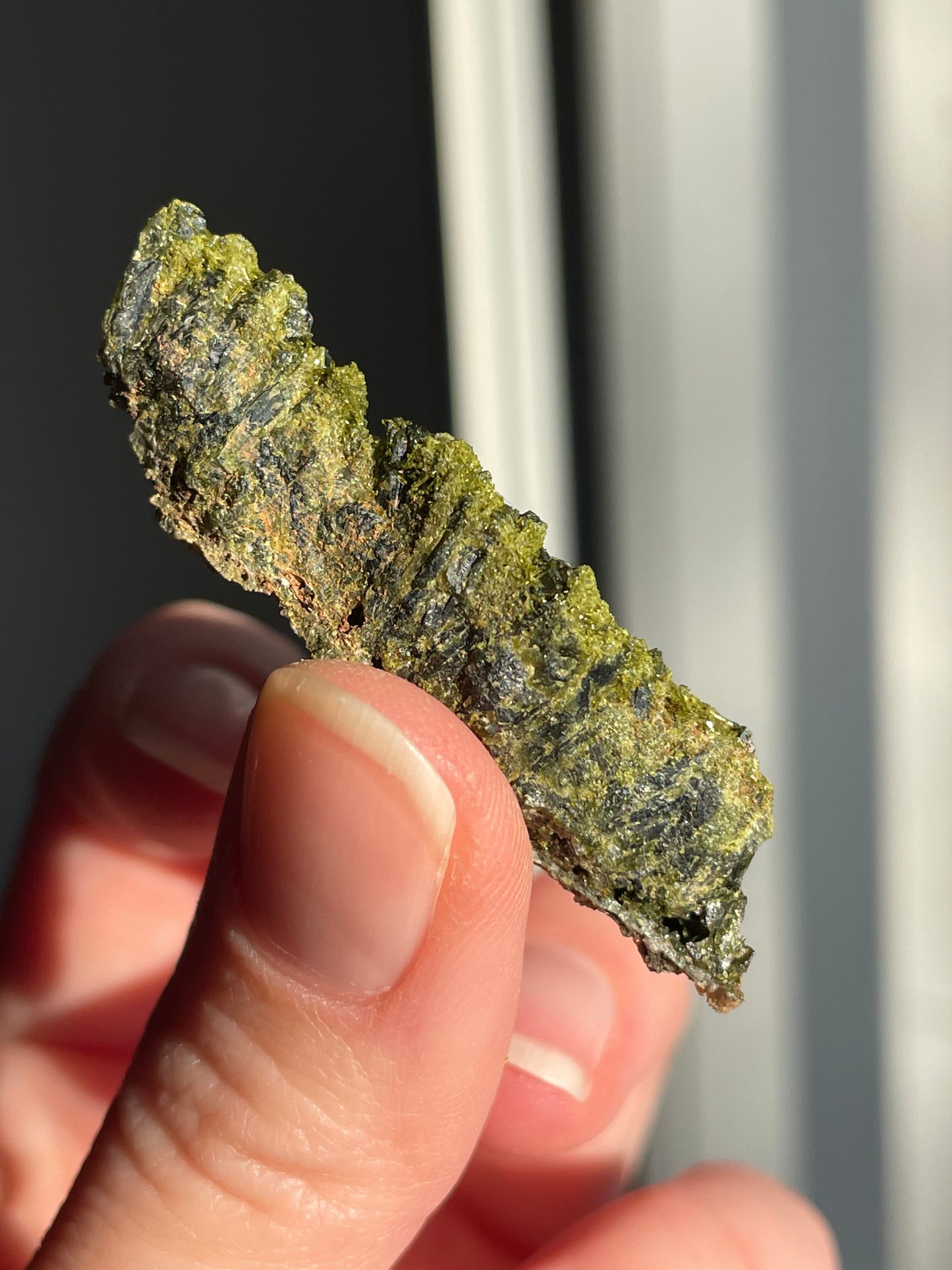 Green Forest Epidote Quartz