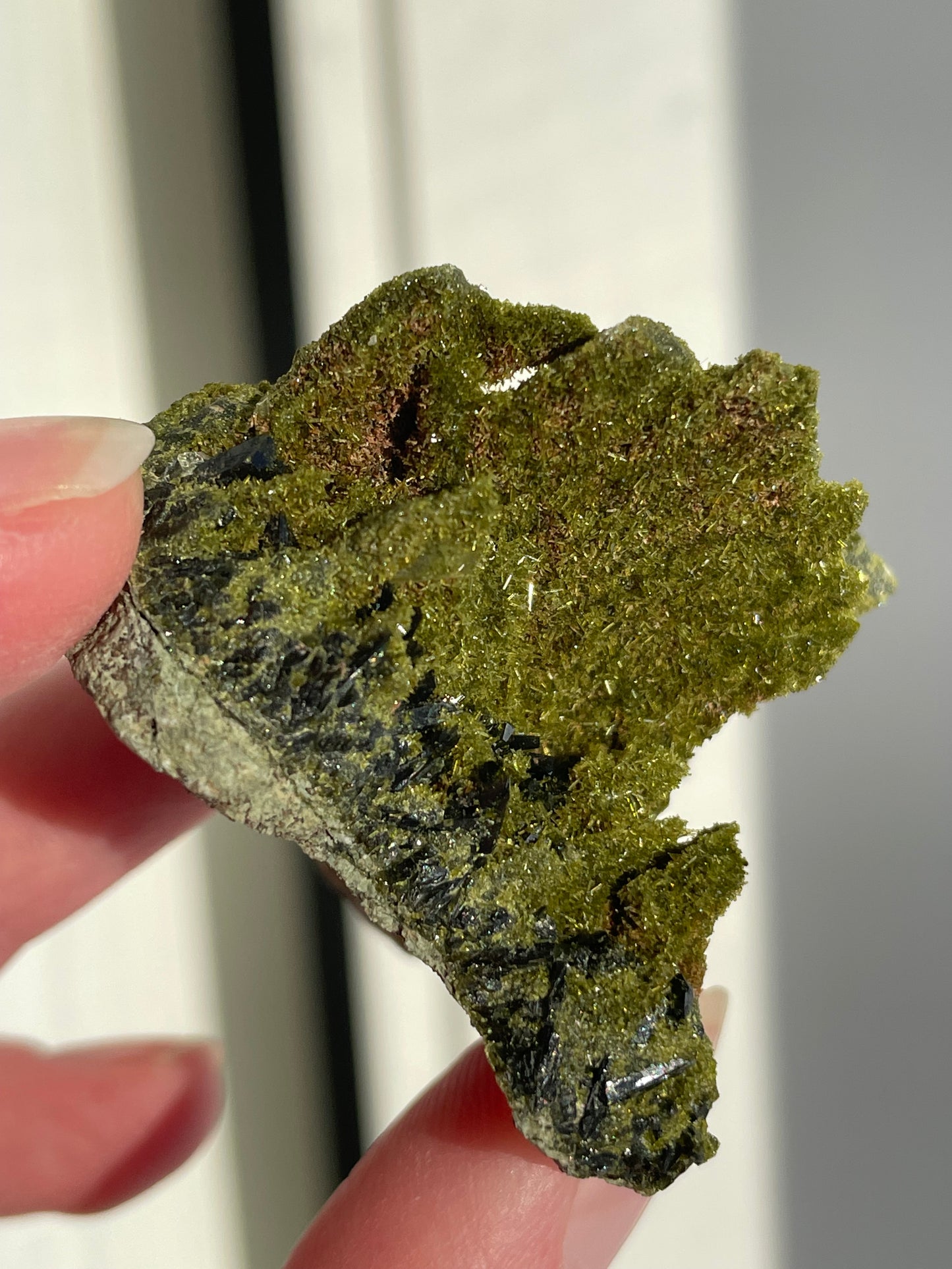 Green Forest Epidote Quartz