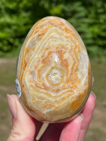 Mexican Onyx Egg
