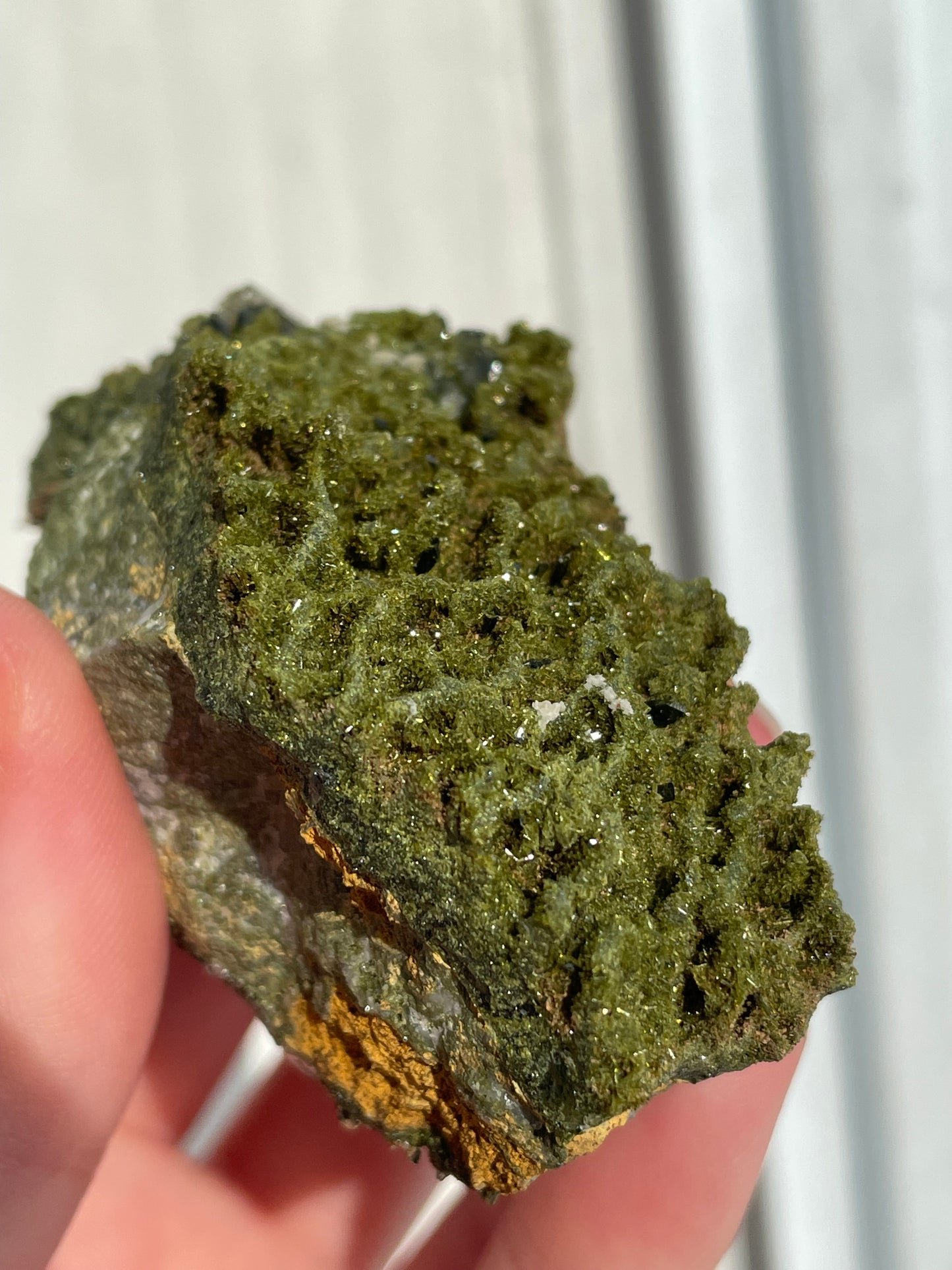 Green Forest Epidote Quartz