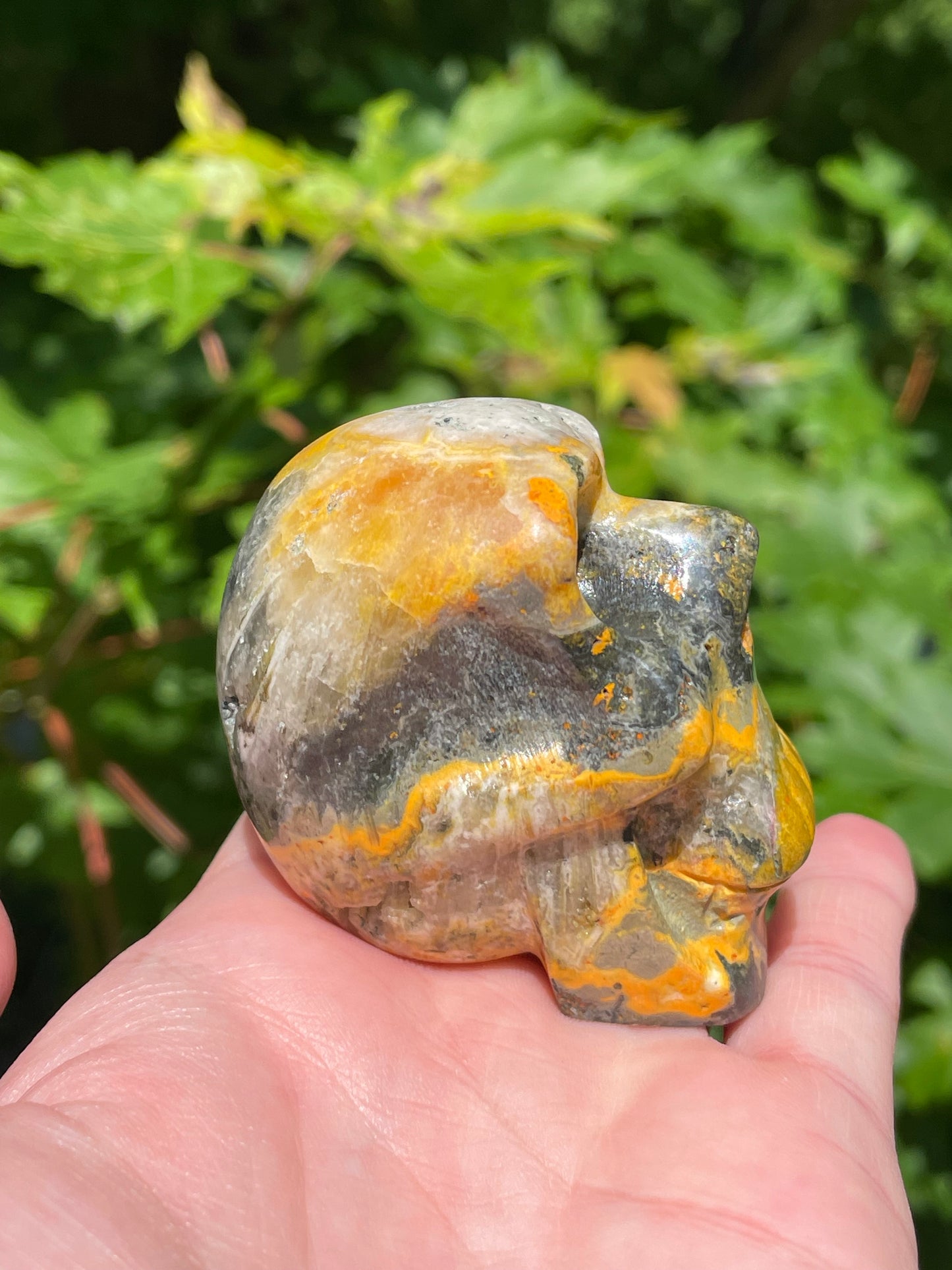 Bumblebee Jasper Skull