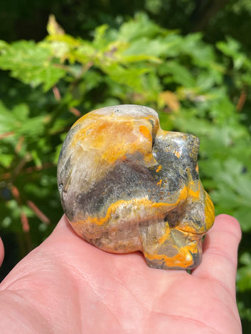 Bumblebee Jasper Skull
