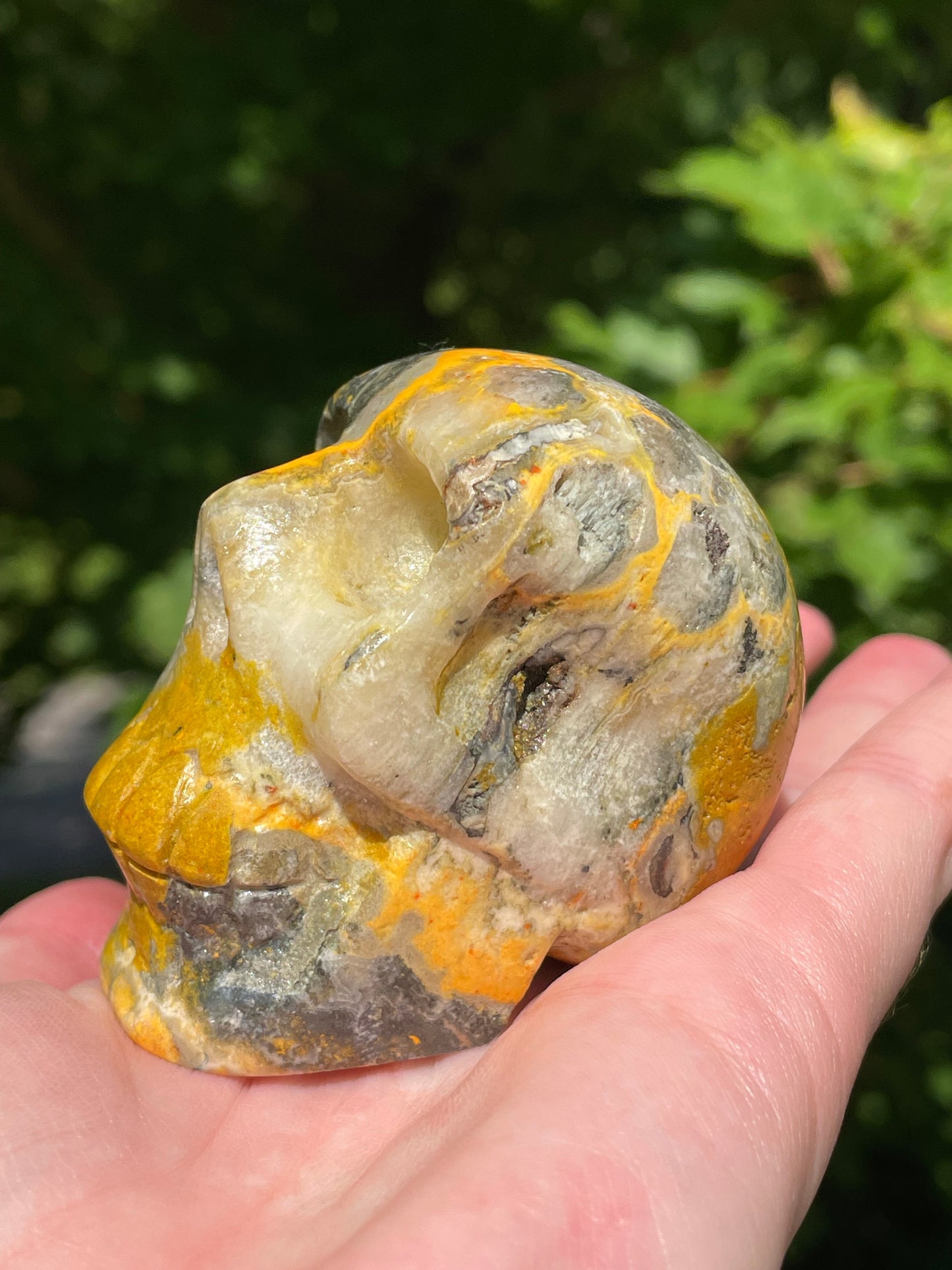 Bumblebee Jasper Skull
