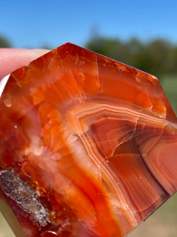 Carnelian Freeform
