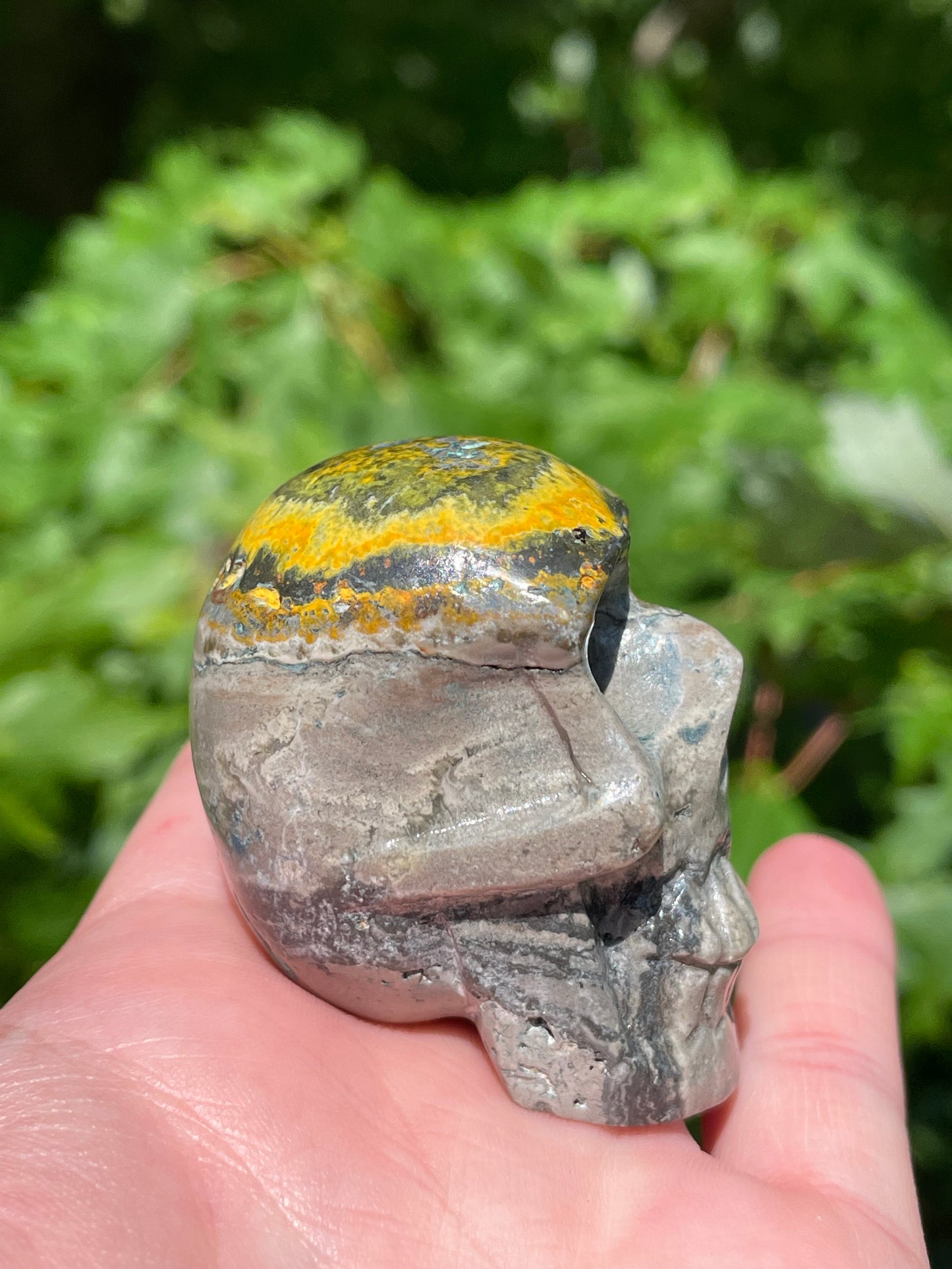 Bumblebee Jasper Skull