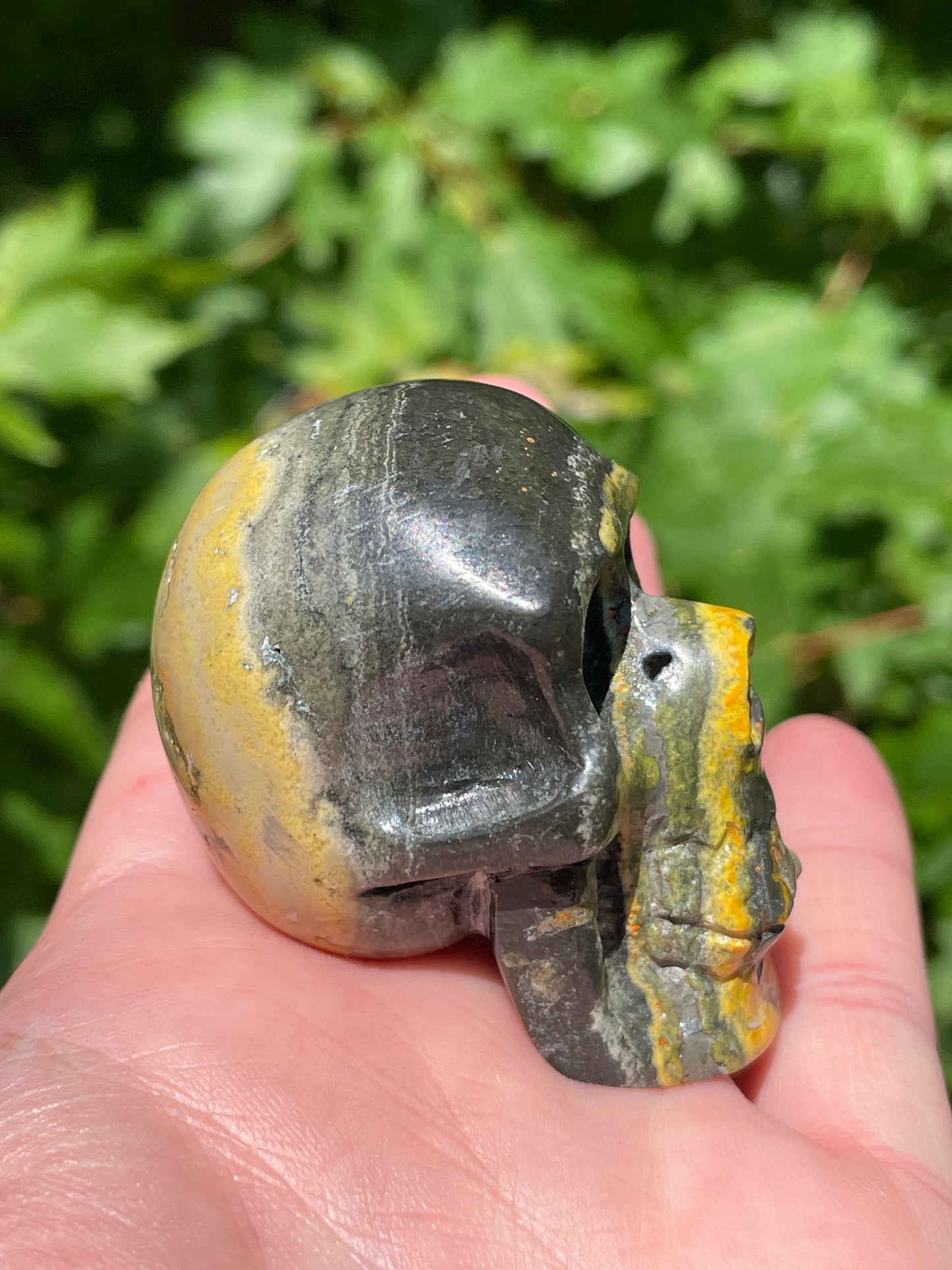 Bumblebee Jasper Skull