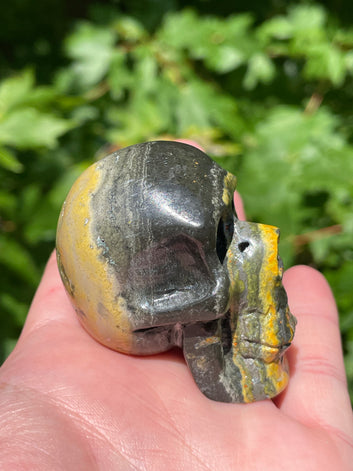 Bumblebee Jasper Skull