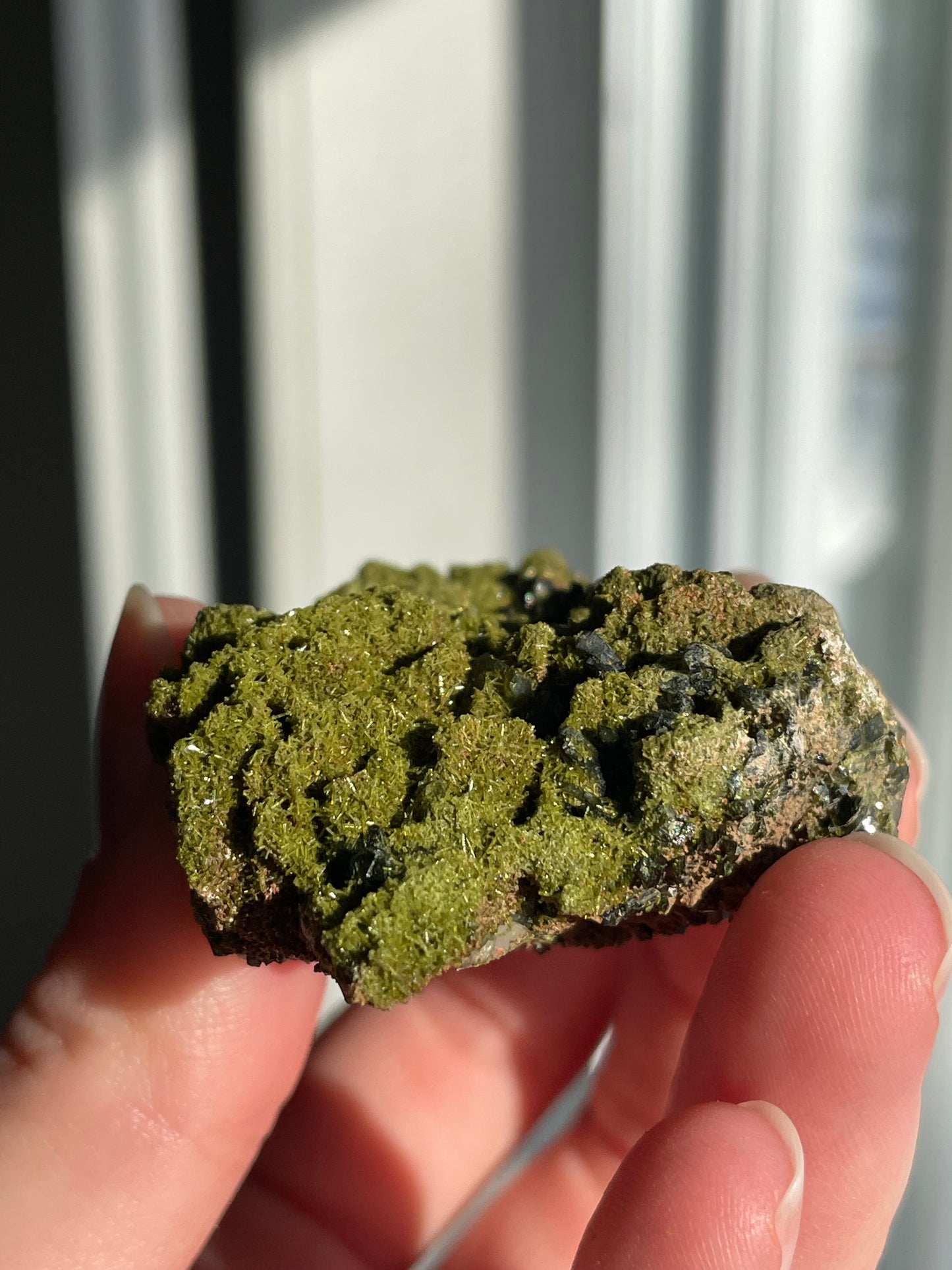 Green Forest Epidote Quartz
