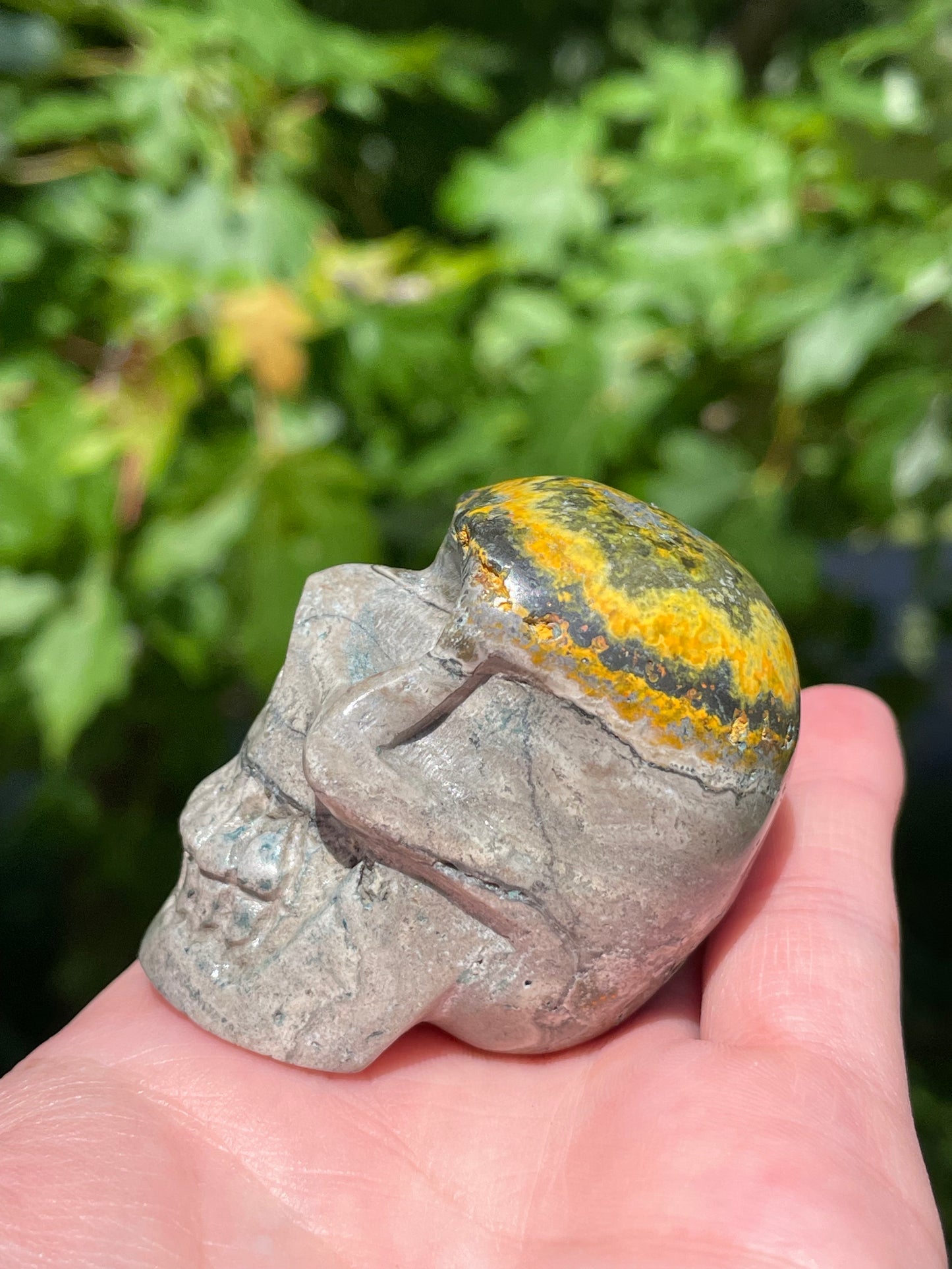 Bumblebee Jasper Skull