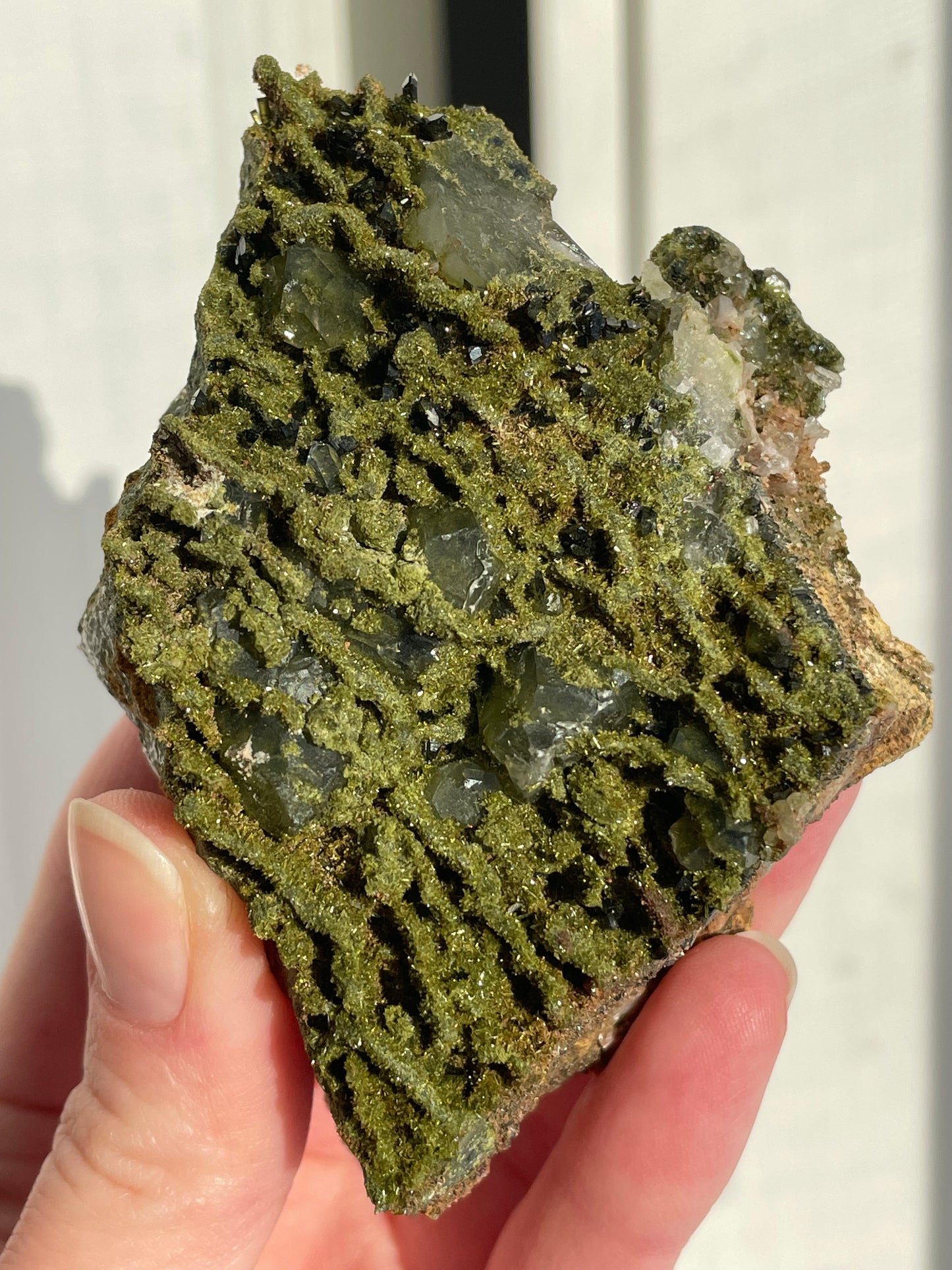 Green Forest Epidote Quartz