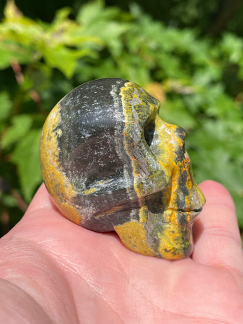 Bumblebee Jasper Skull