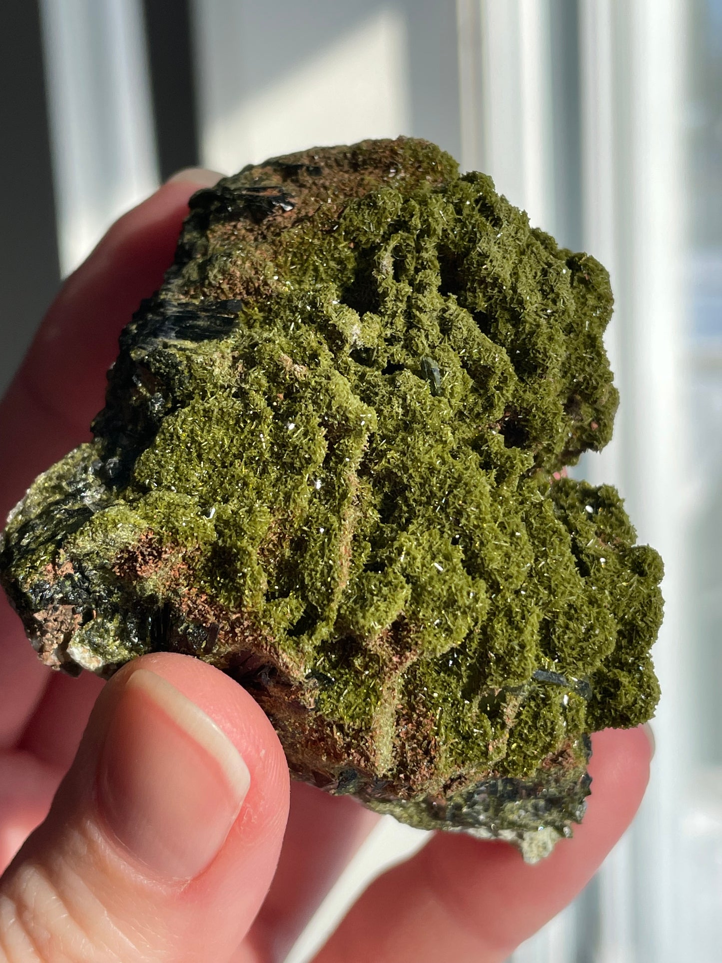 Green Forest Epidote Quartz