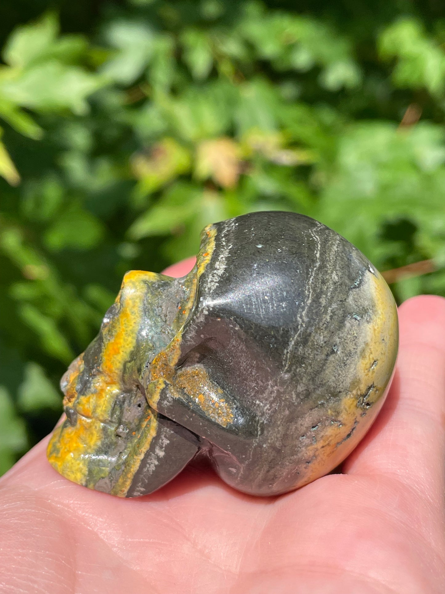 Bumblebee Jasper Skull