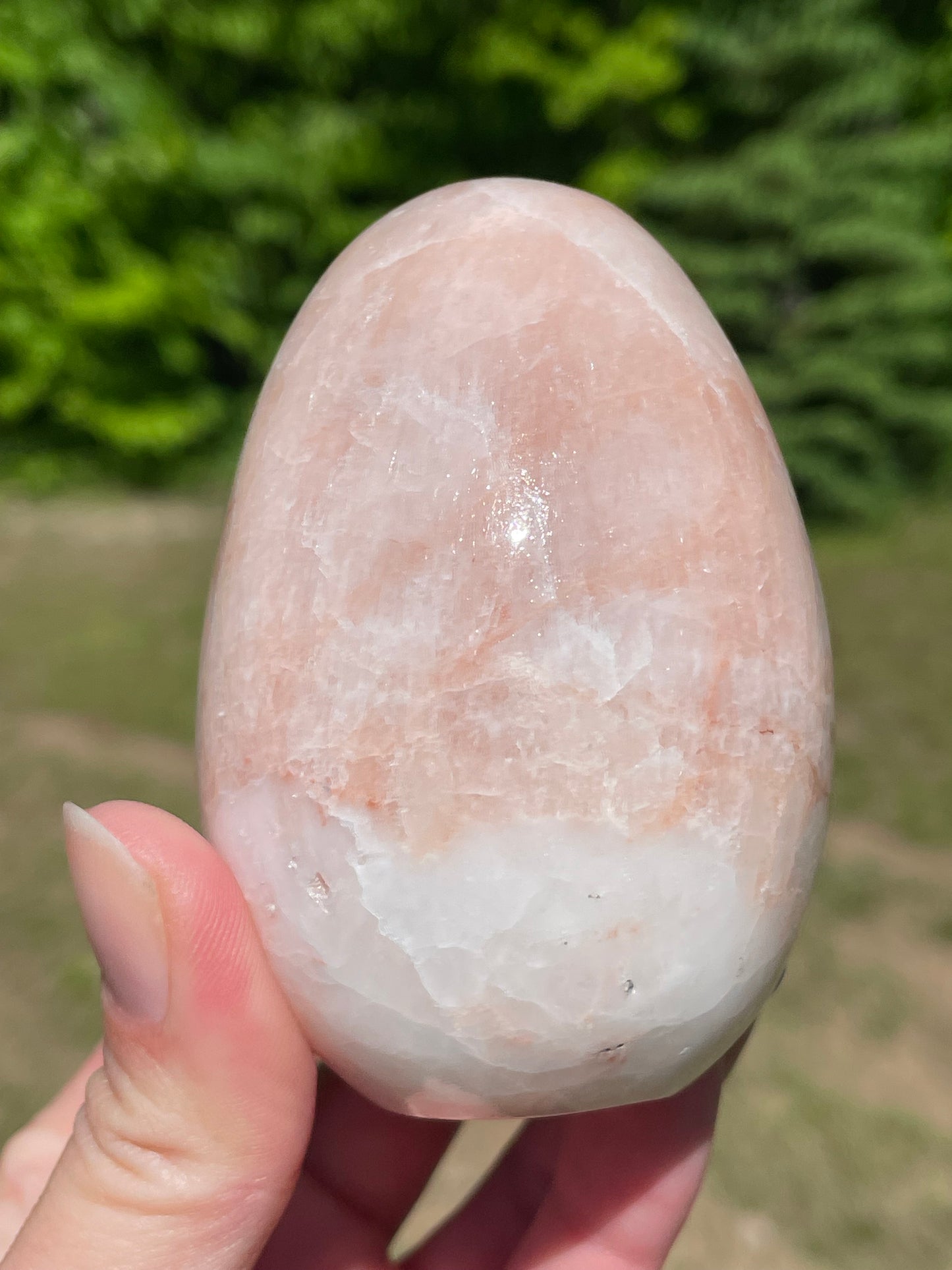 Mexican Onyx Egg