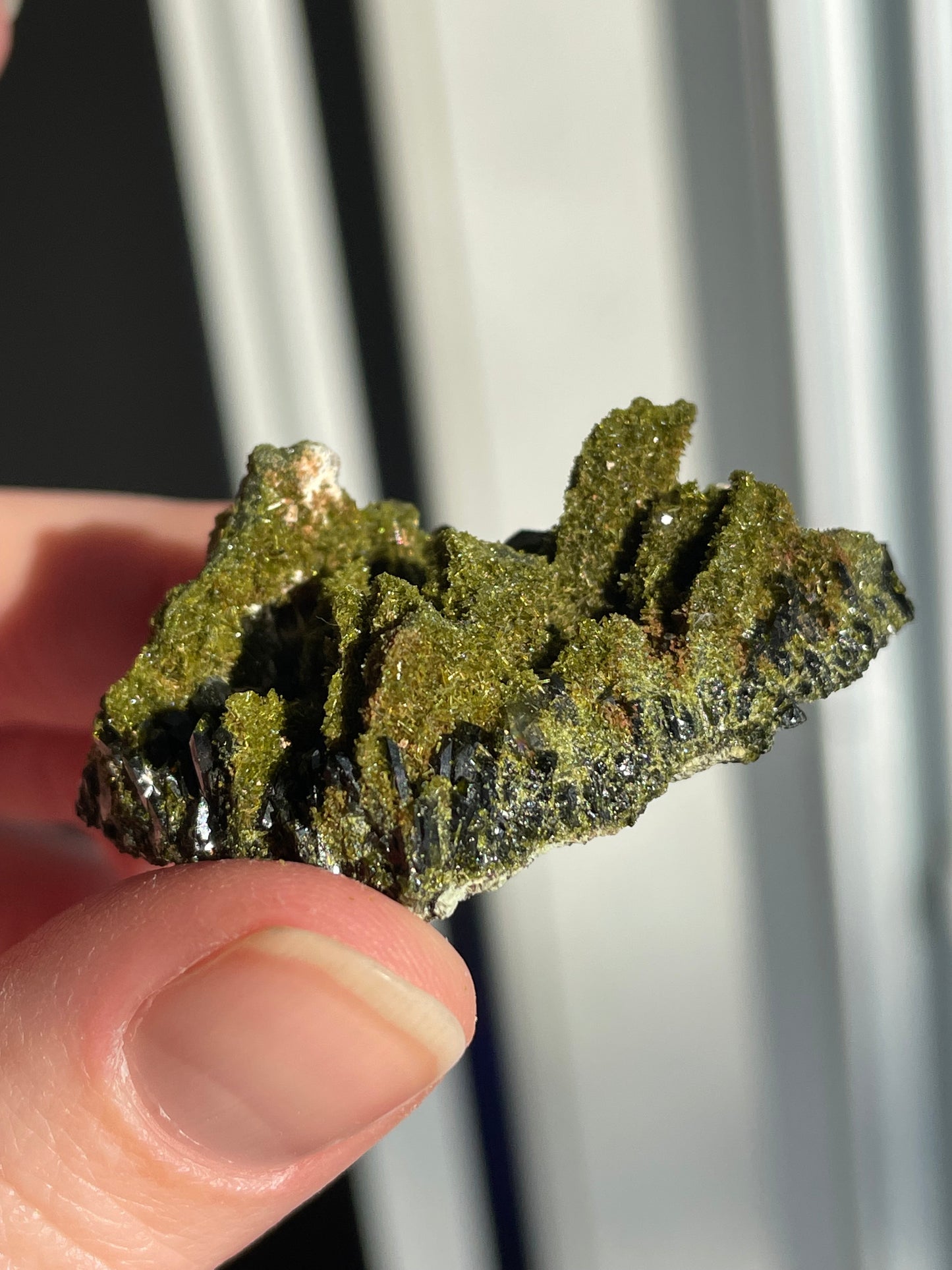 Green Forest Epidote Quartz