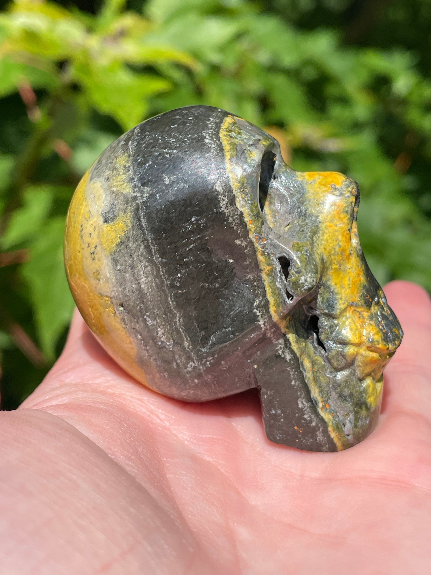 Bumblebee Jasper Skull