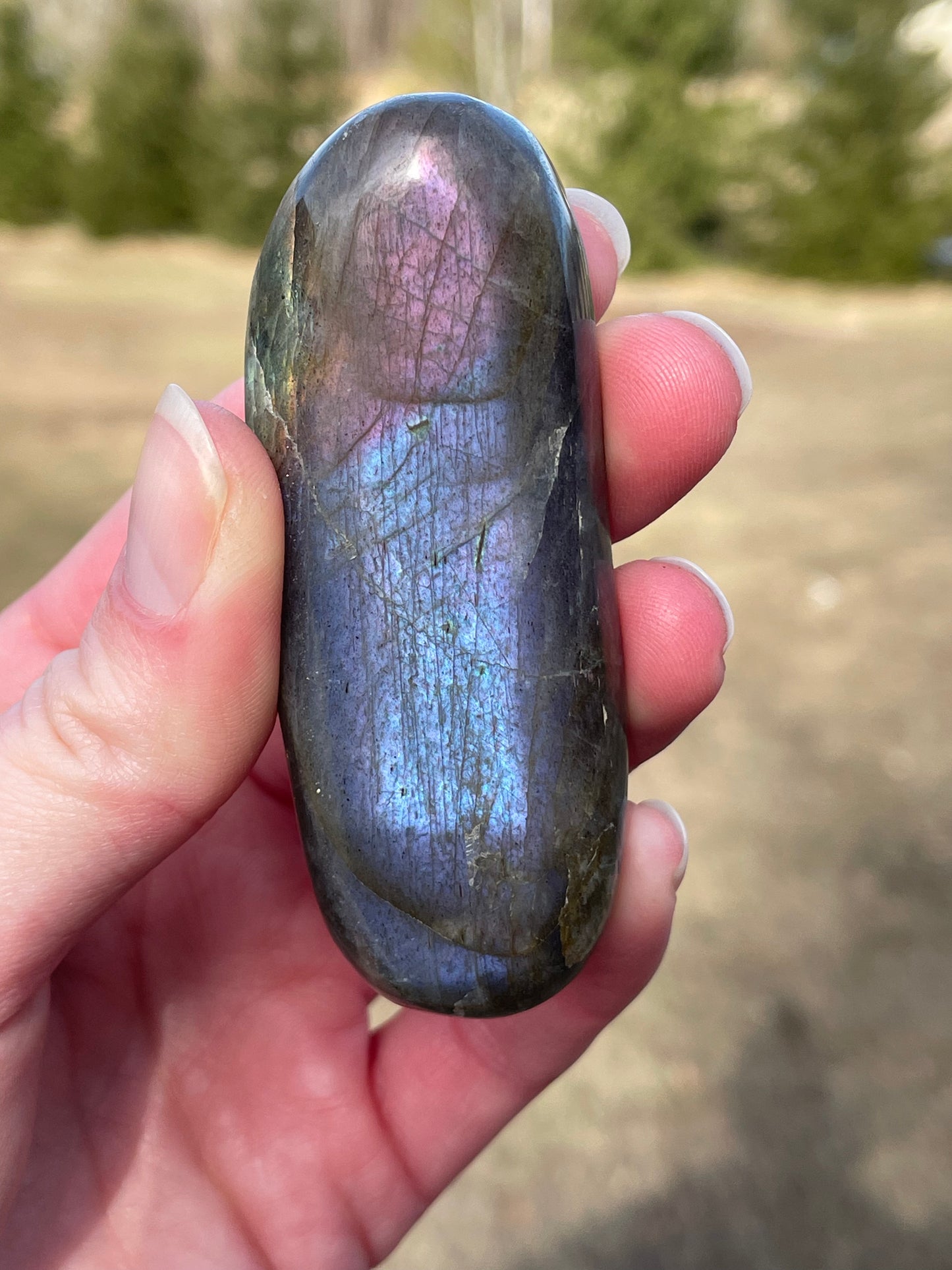 Labradorite Palm Stone