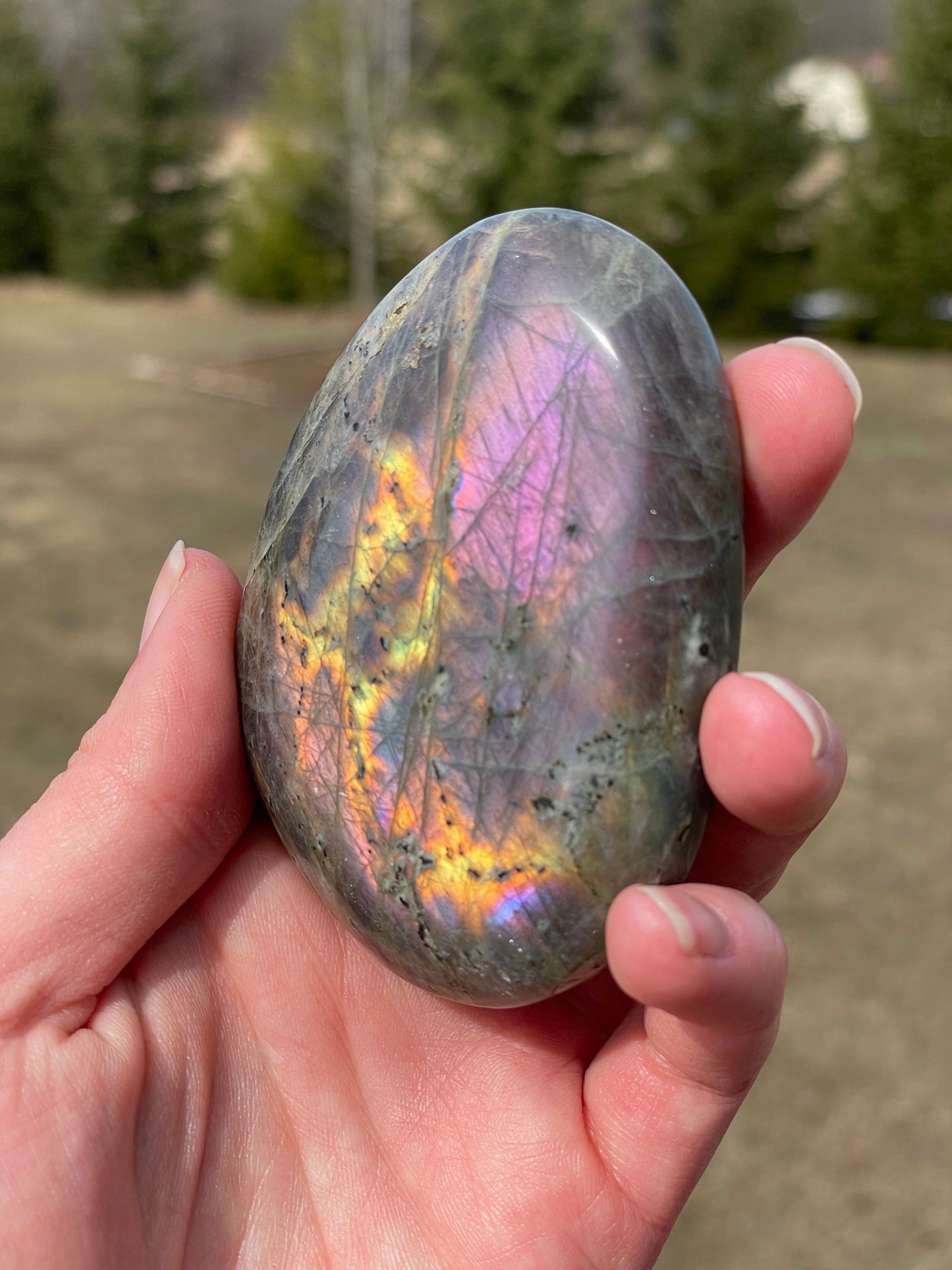 Labradorite Palm Stone