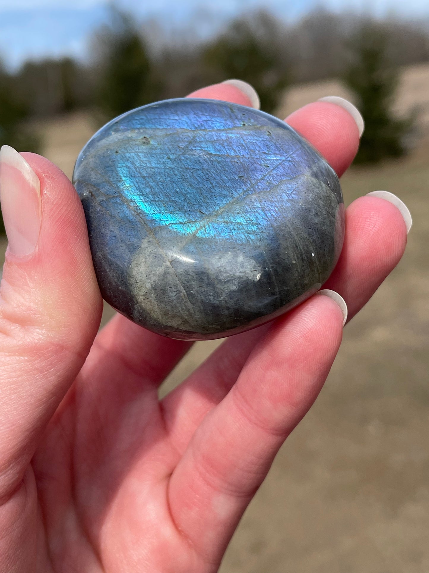 Labradorite Palm Stone