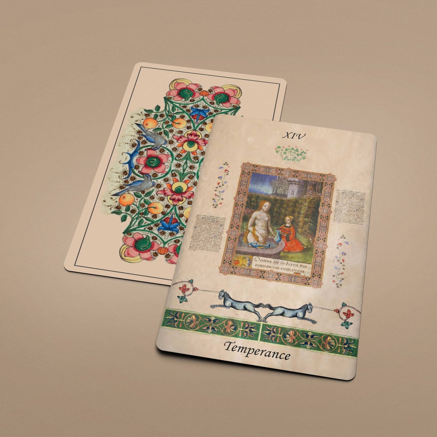 Dark Synevyr | Manuscript of Initiation Tarot Cards Deck