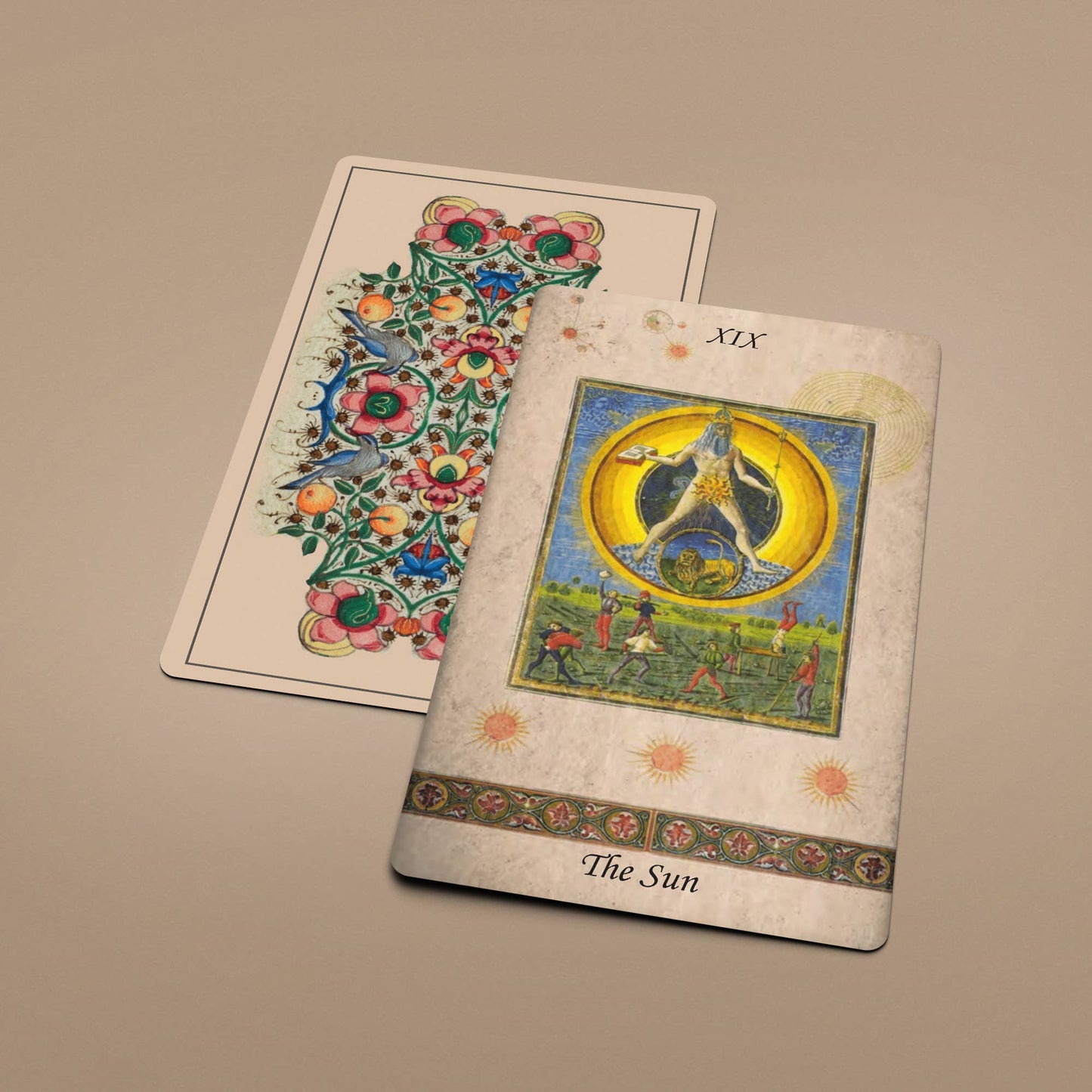 Dark Synevyr | Manuscript of Initiation Tarot Cards Deck