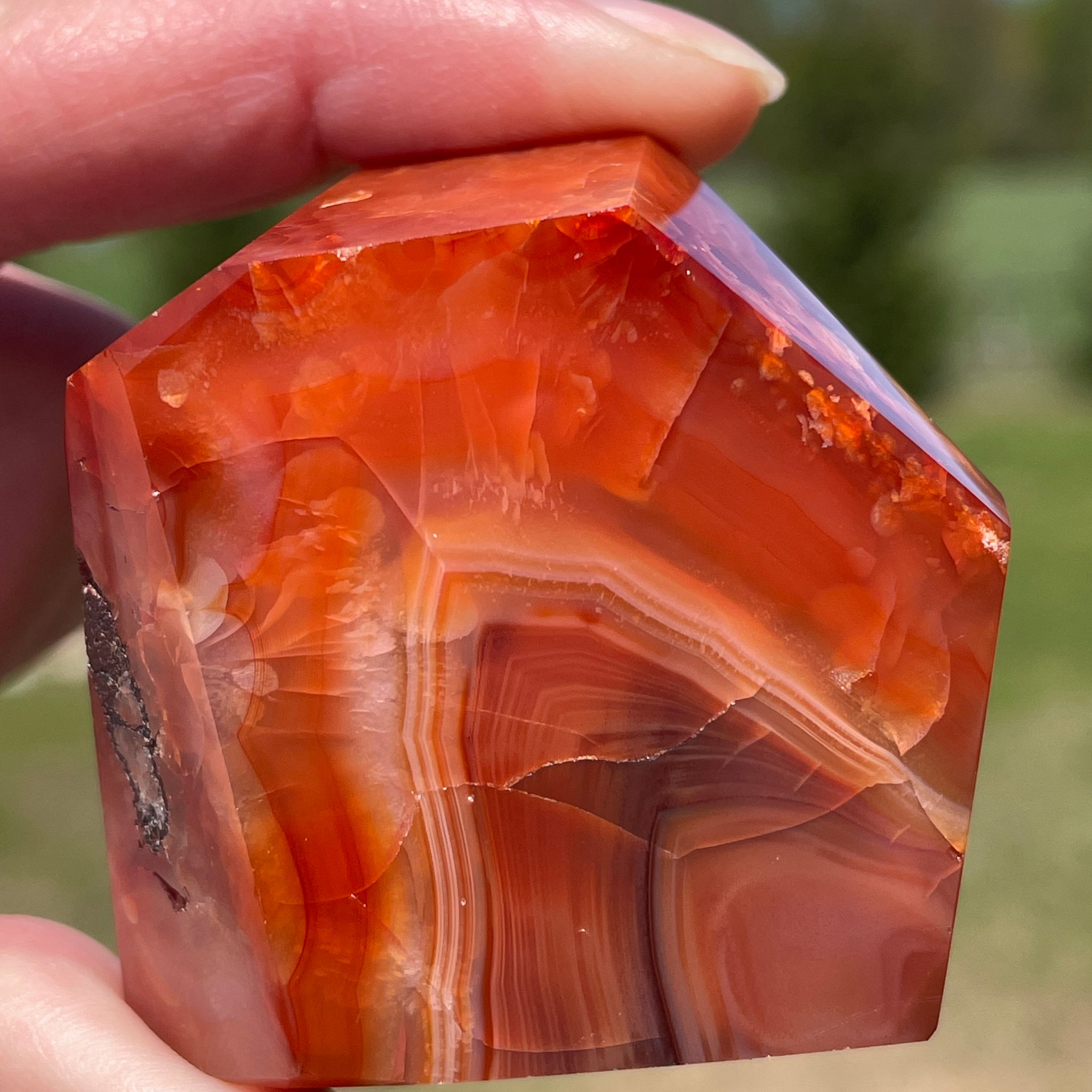 Carnelian Freeform