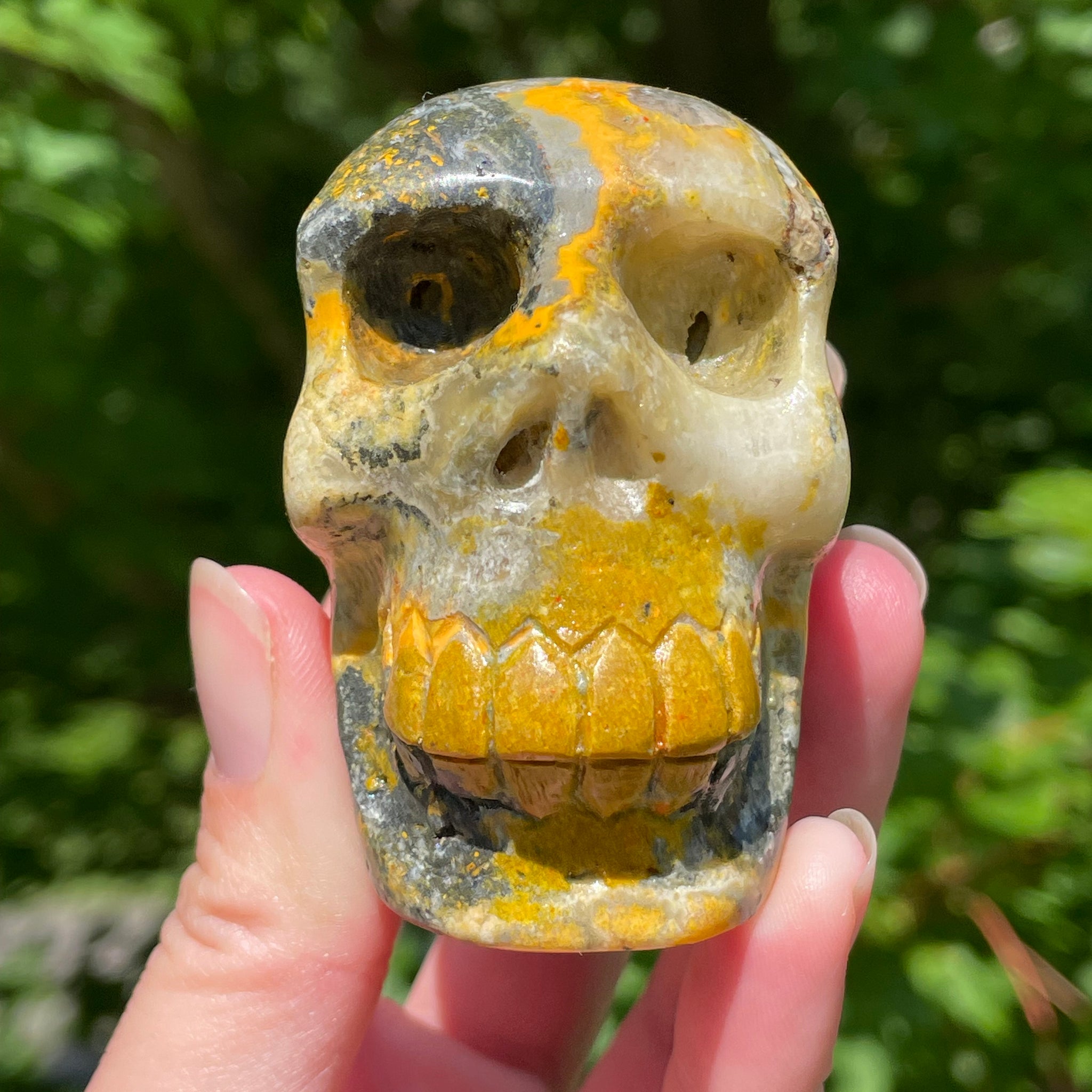 Bumblebee Jasper Skull