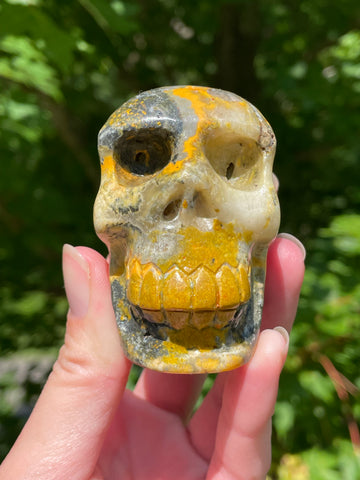 Bumblebee Jasper Skull