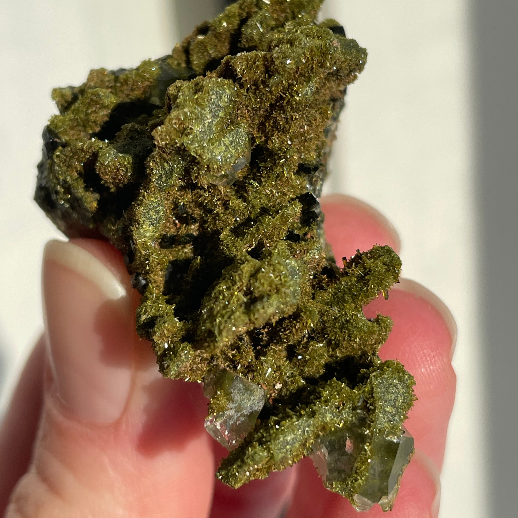 Green Forest Epidote Quartz