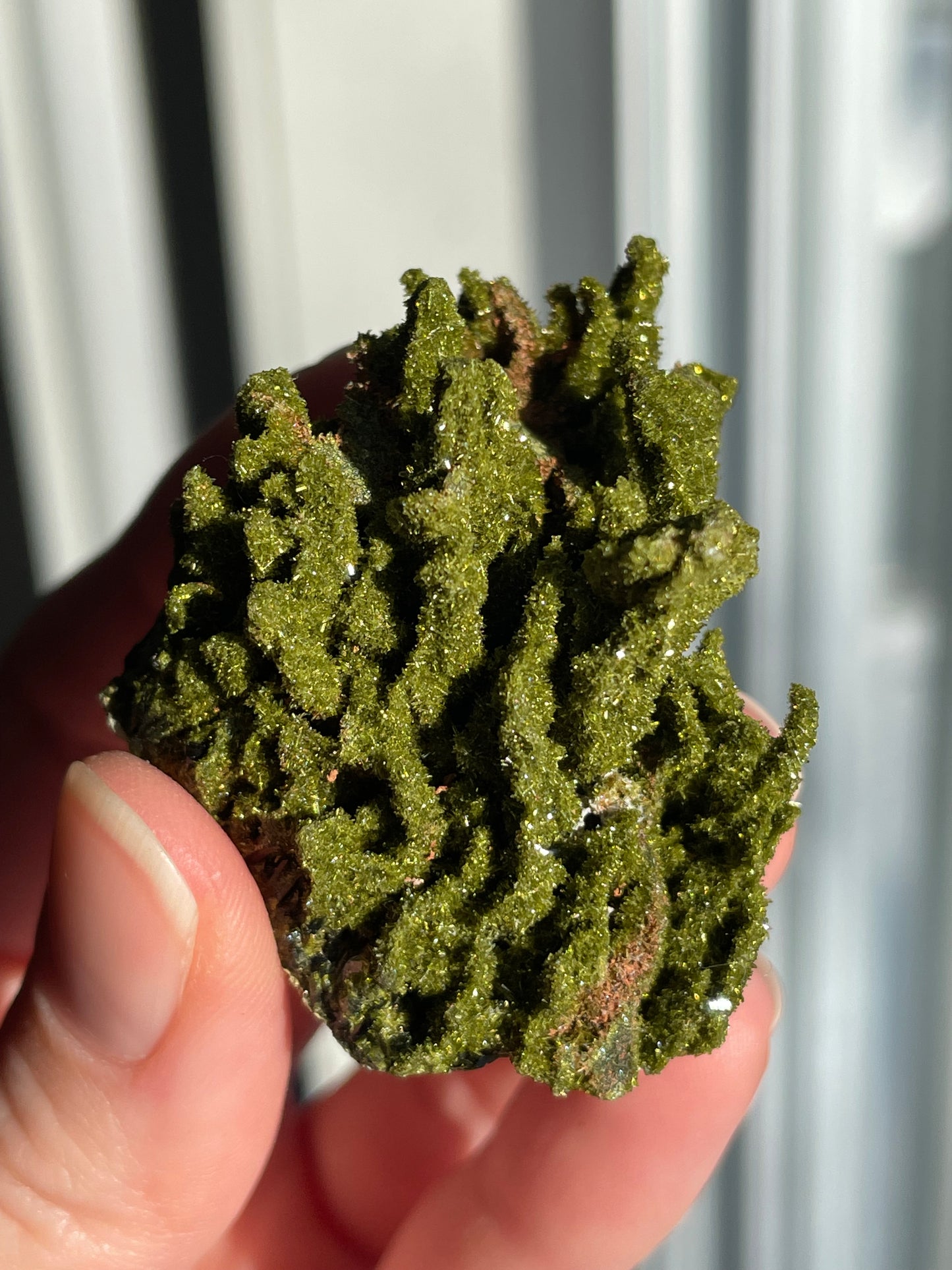 Green Forest Epidote Quartz