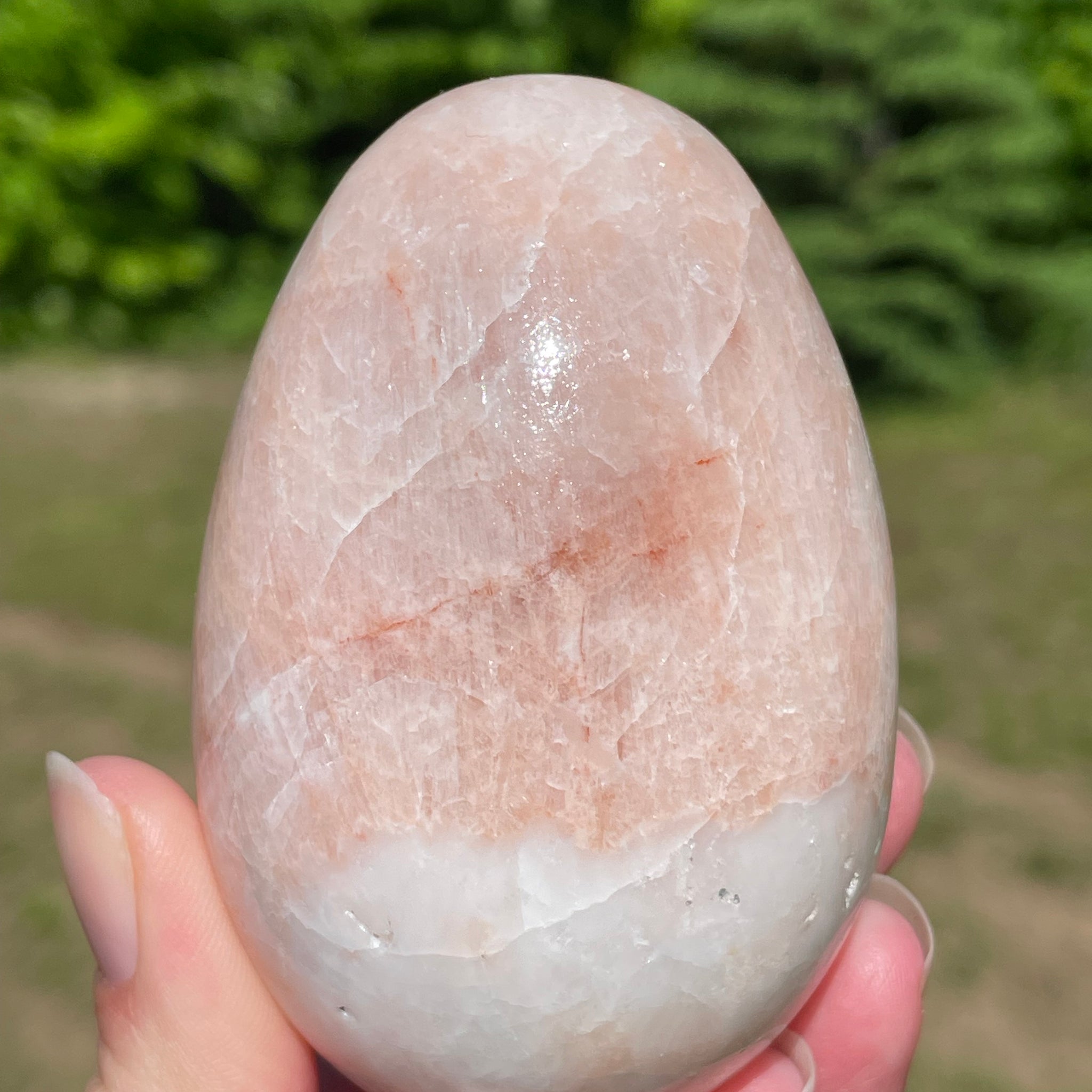 Mexican Onyx Egg