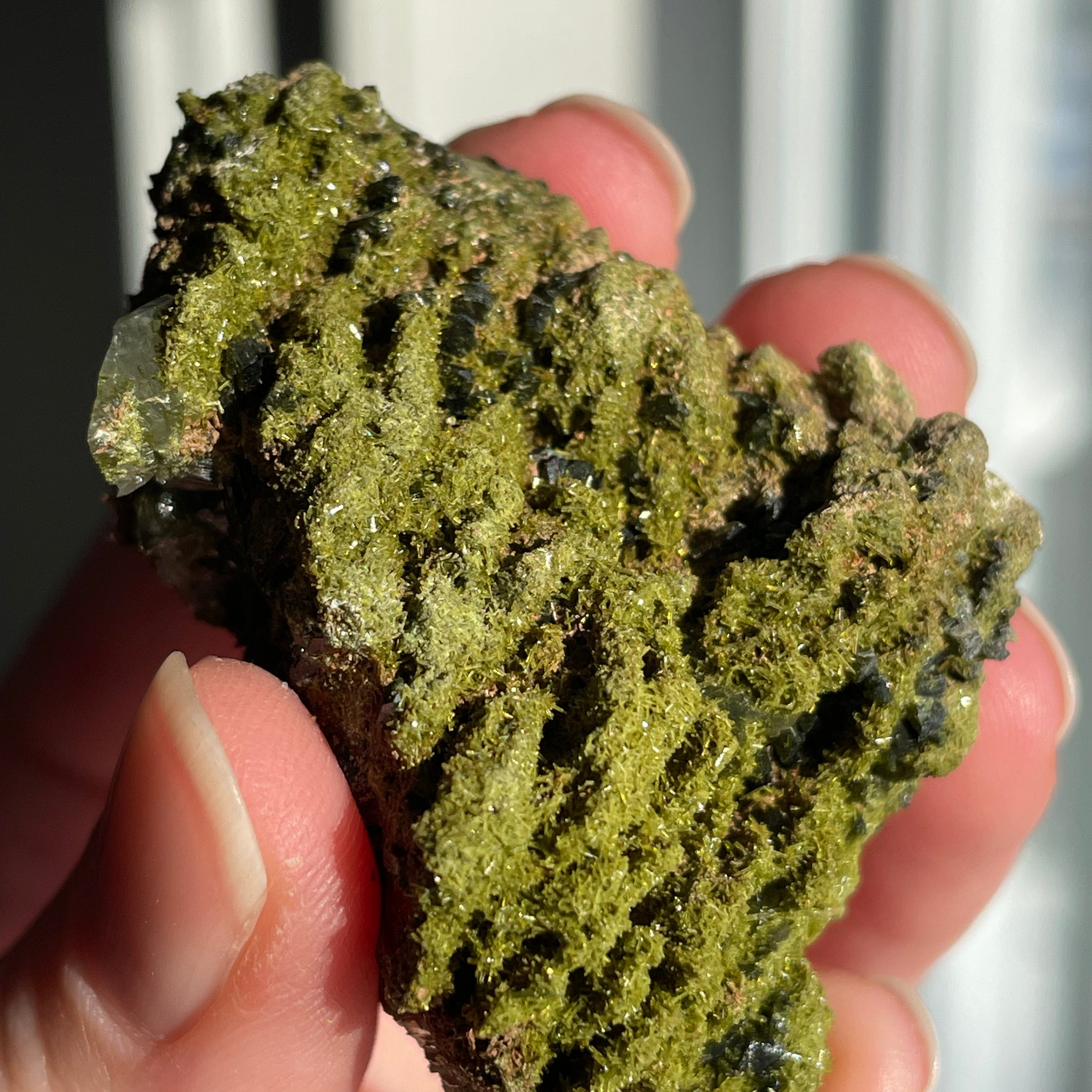 Green Forest Epidote Quartz