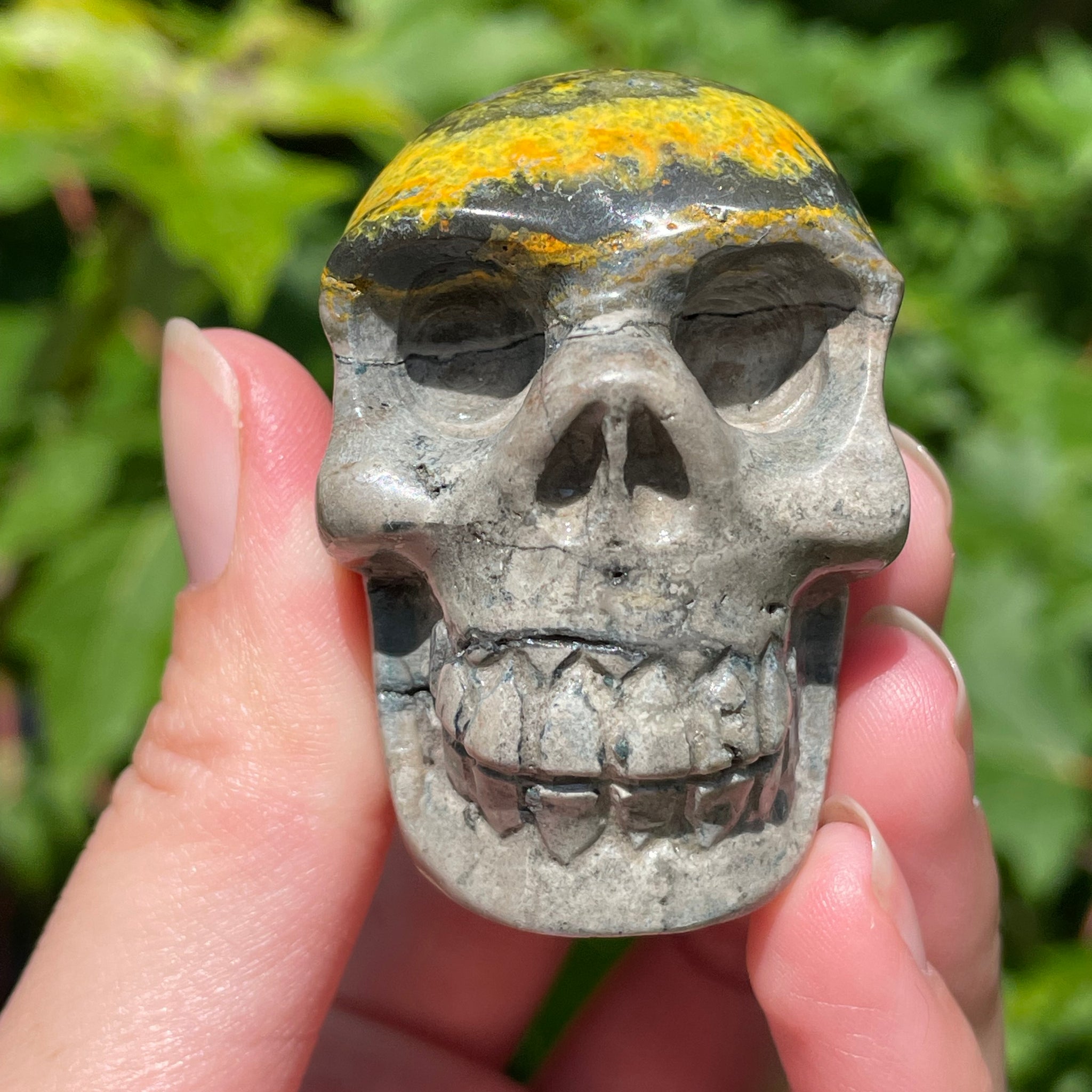 Bumblebee Jasper Skull