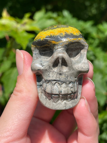 Bumblebee Jasper Skull