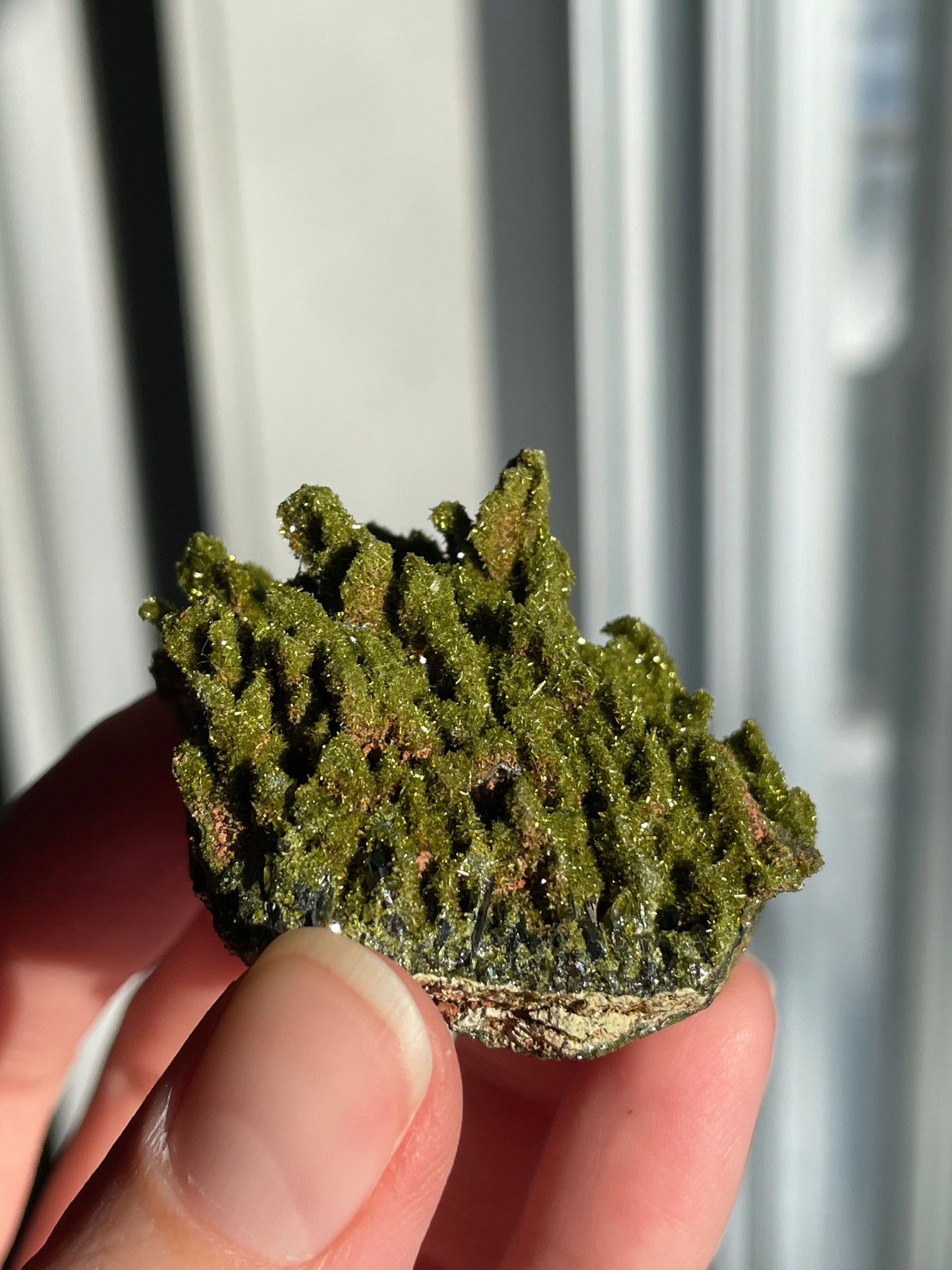 Green Forest Epidote Quartz