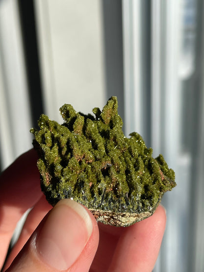 Green Forest Epidote Quartz