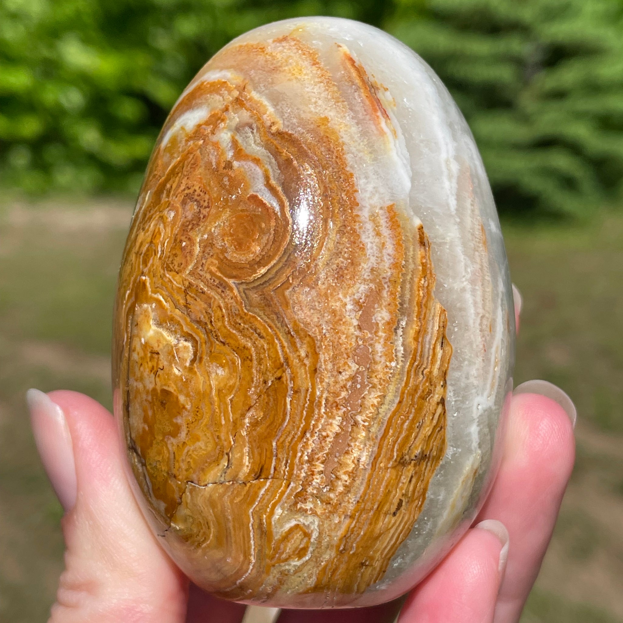 Mexican Onyx Egg