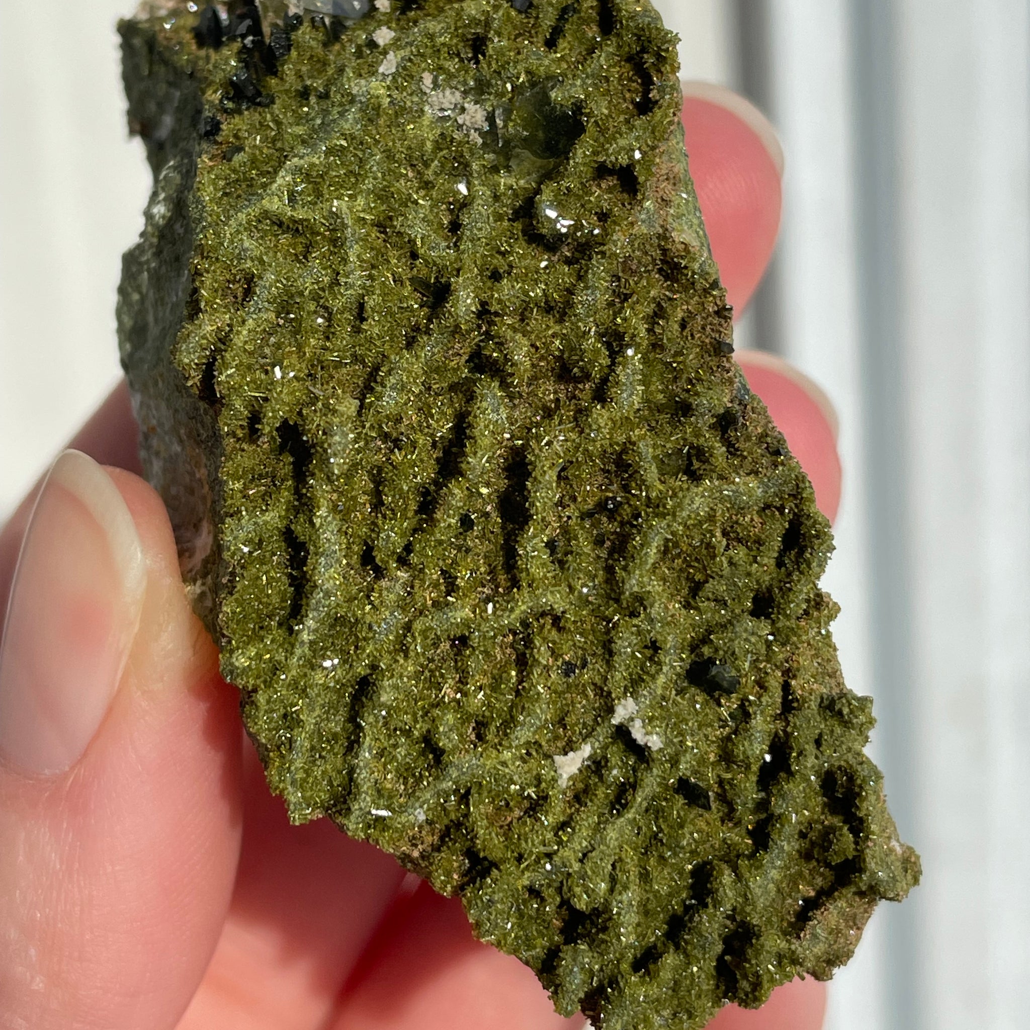 Green Forest Epidote Quartz