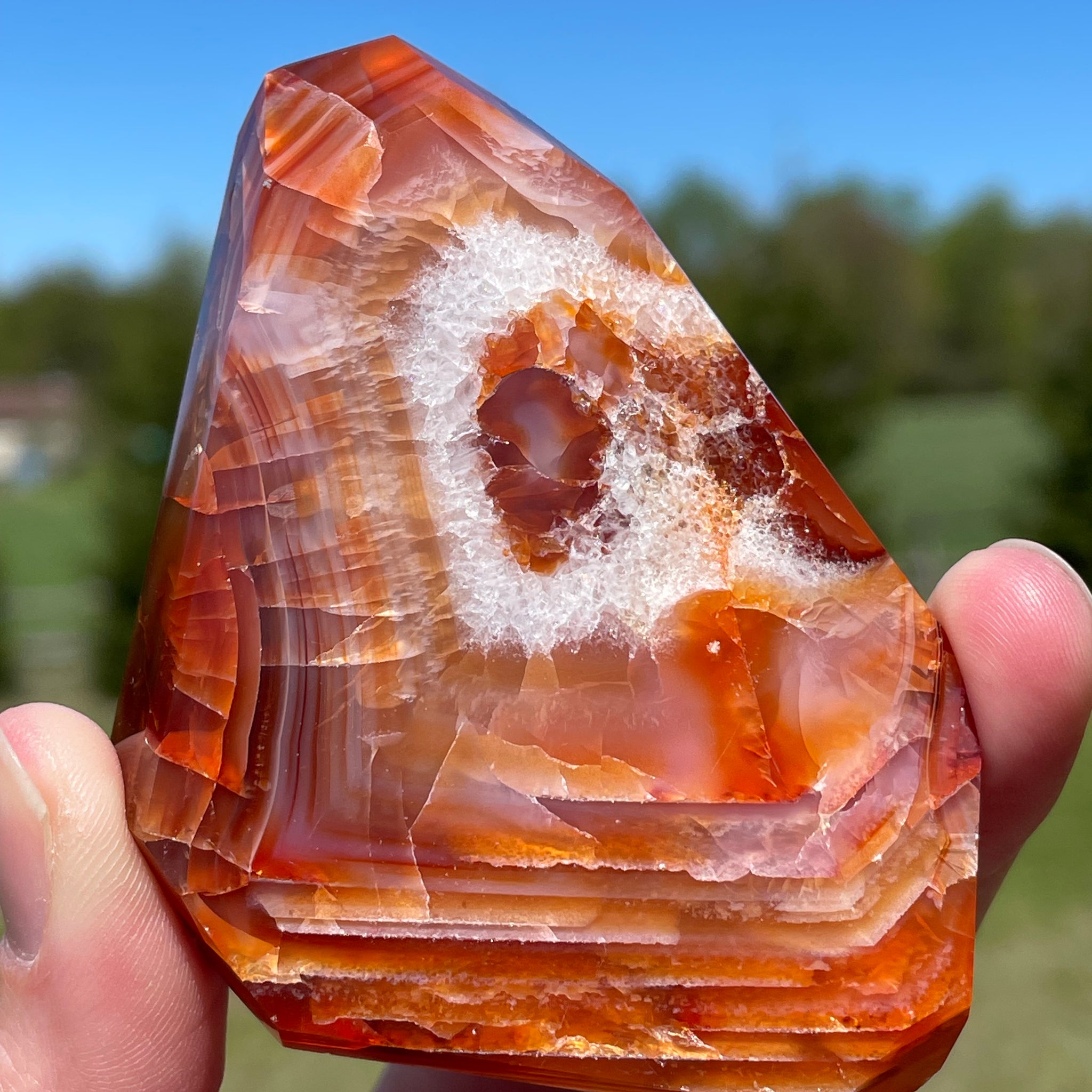 Carnelian Freeform