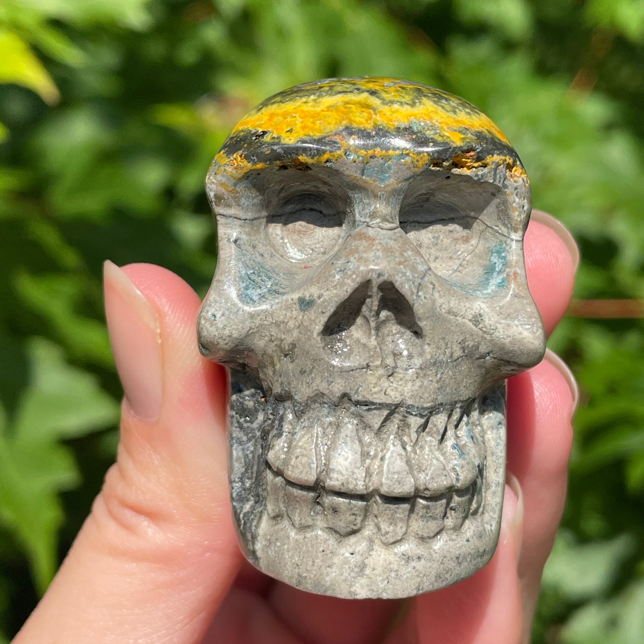 Bumblebee Jasper Skull