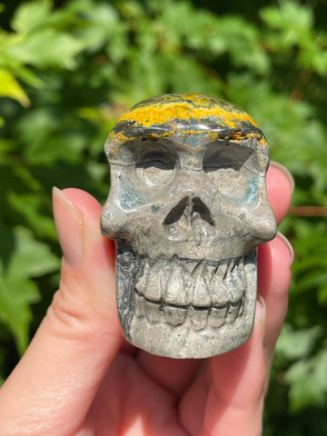 Bumblebee Jasper Skull