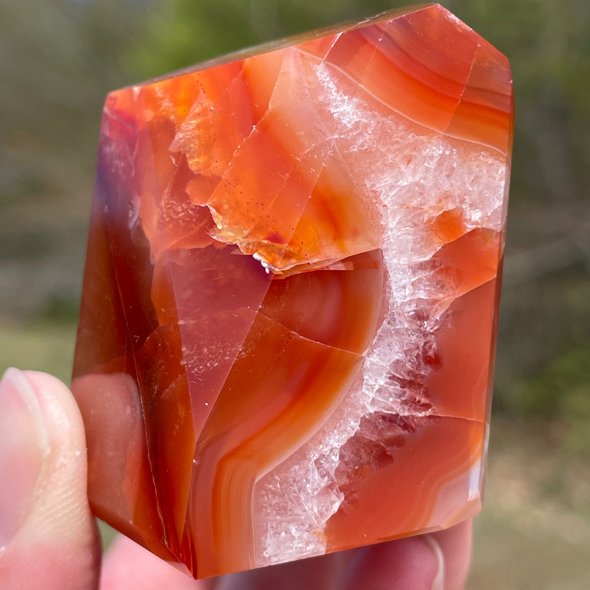 Carnelian Freeform