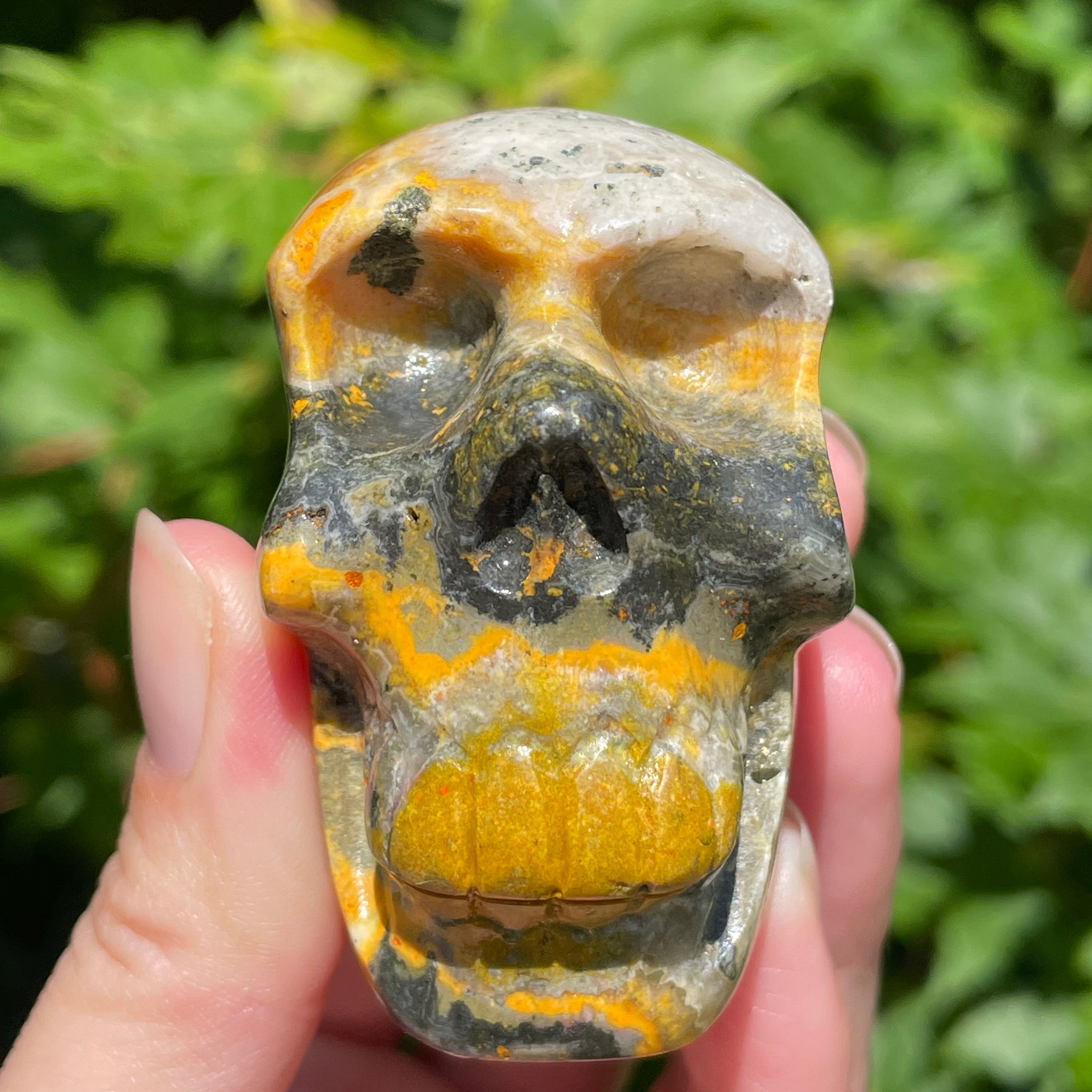 Bumblebee Jasper Skull
